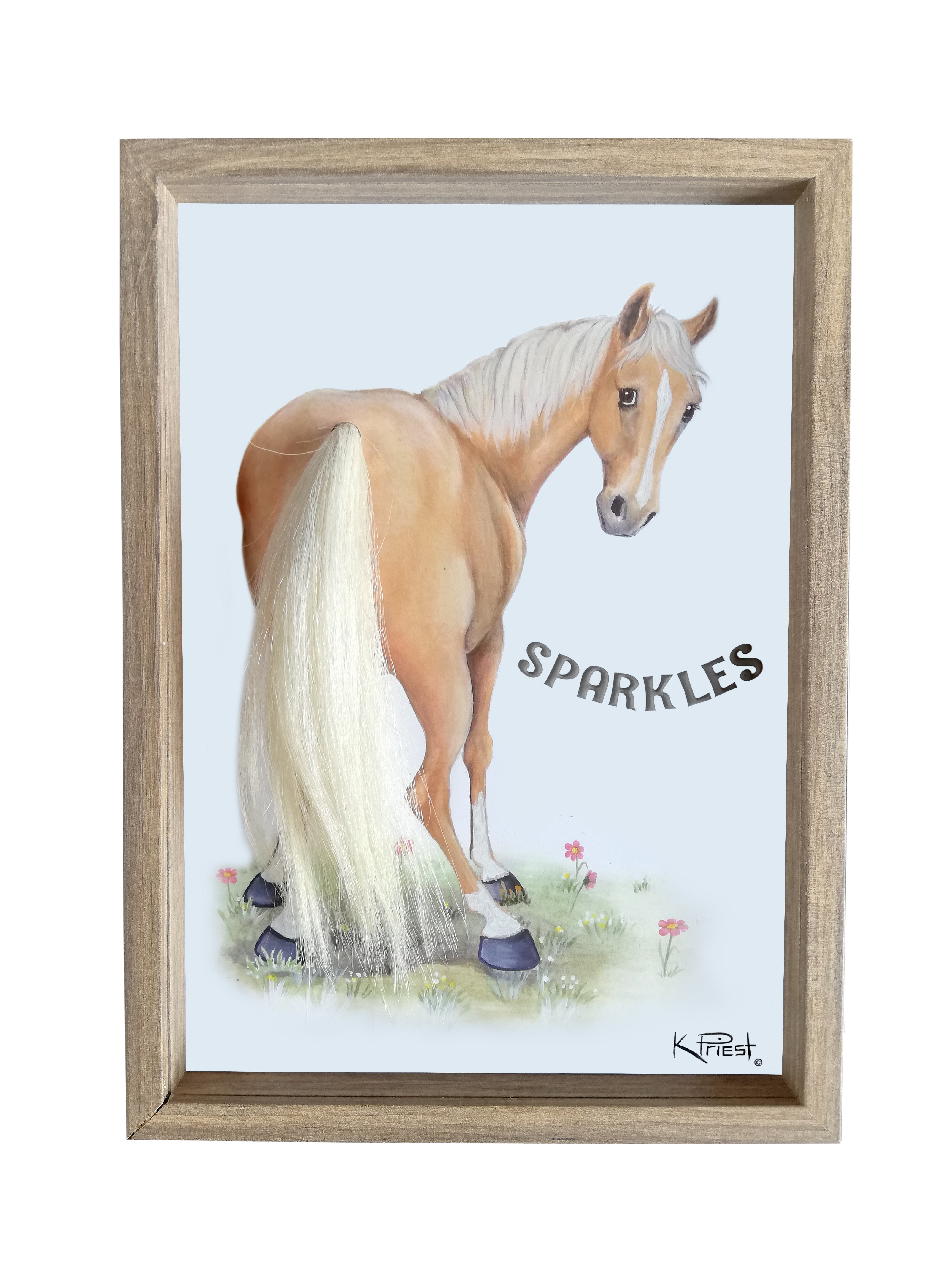 Pony Tail Pictures(Black Horse)