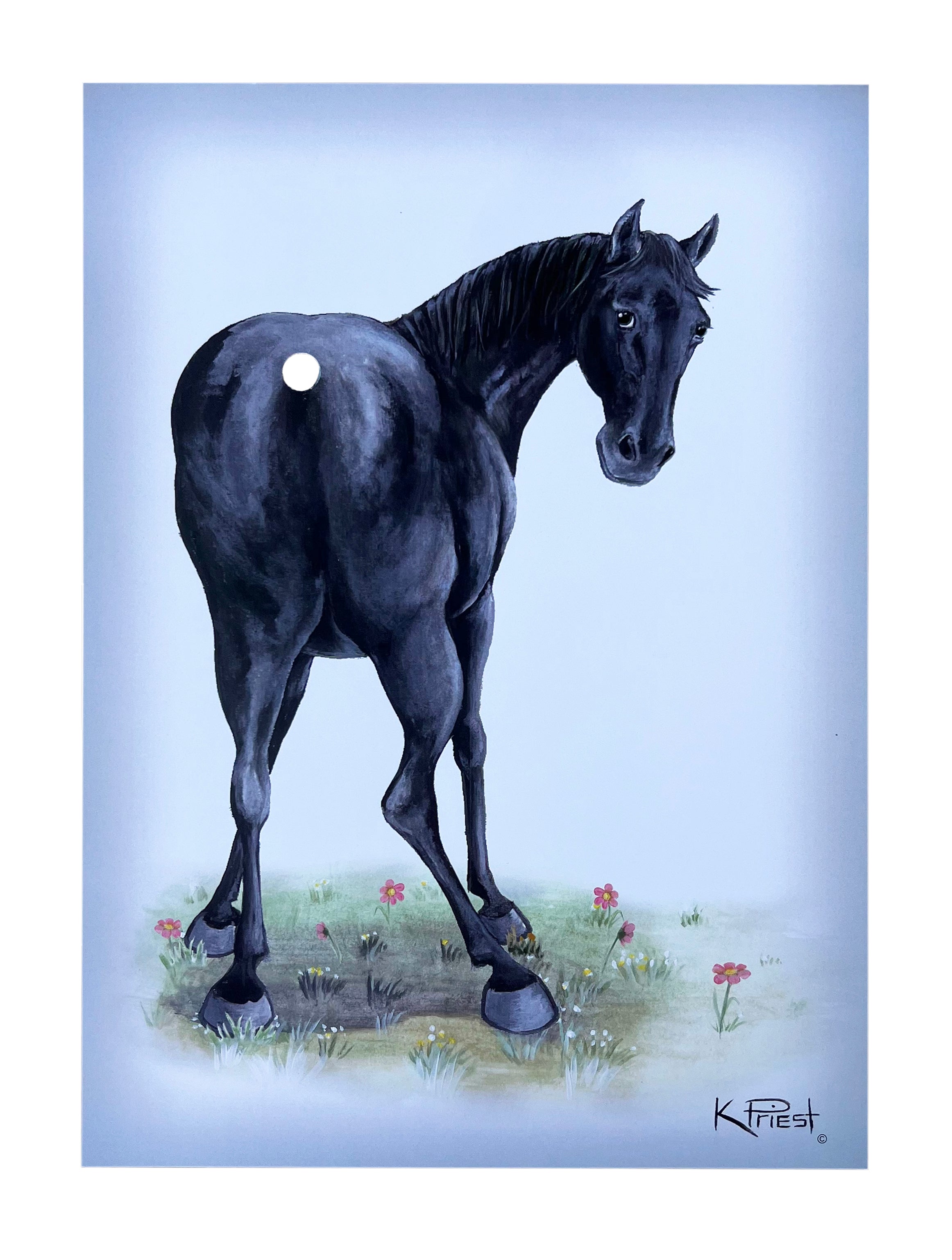 Pony Tail Pictures(Black Horse)