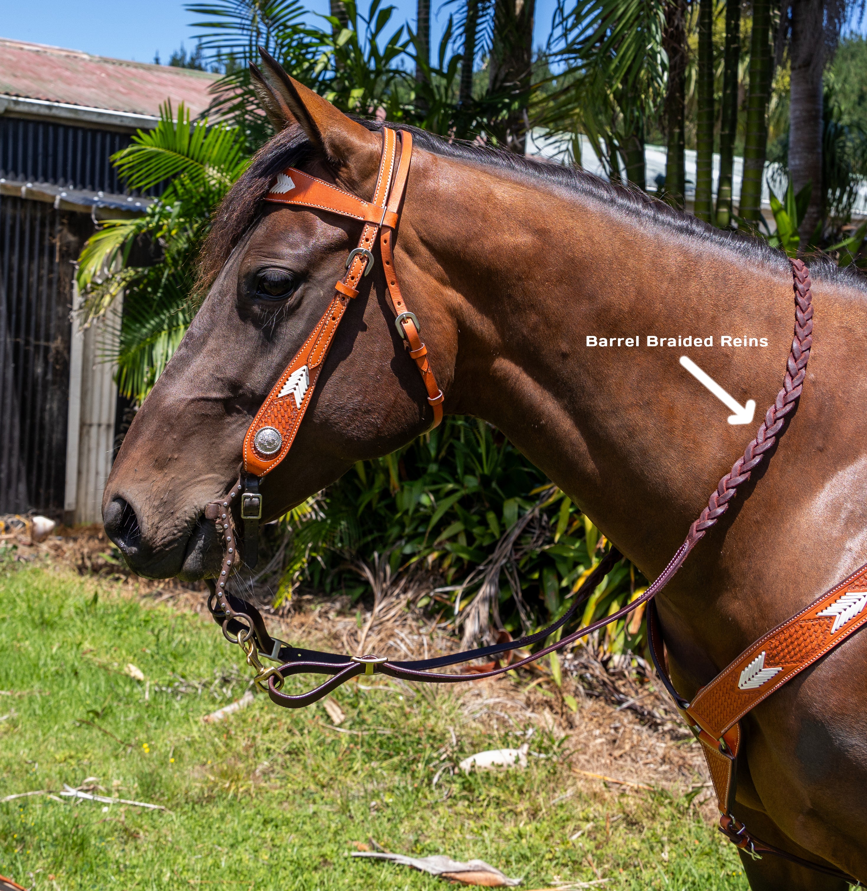 Barrel Braided Reins
