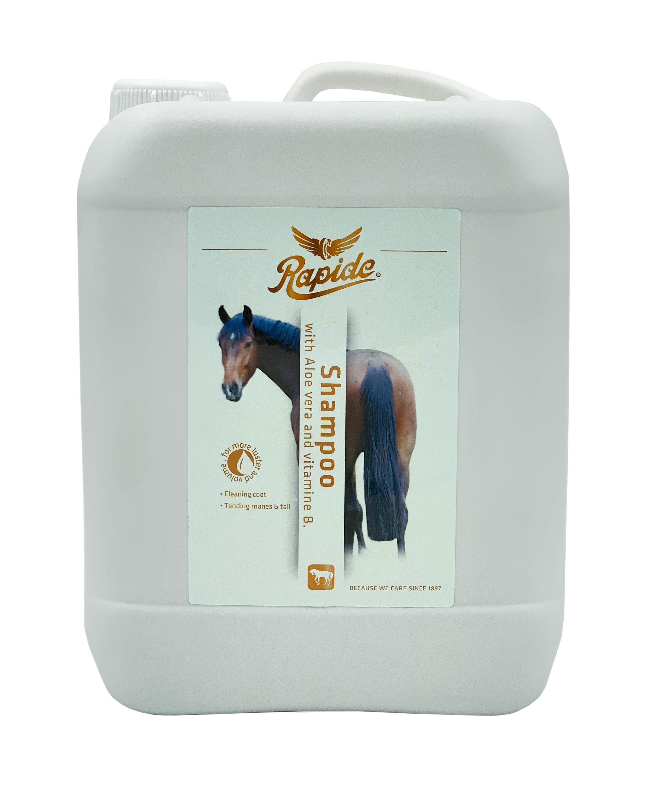 Rapide Shine Shampoo One / 1l