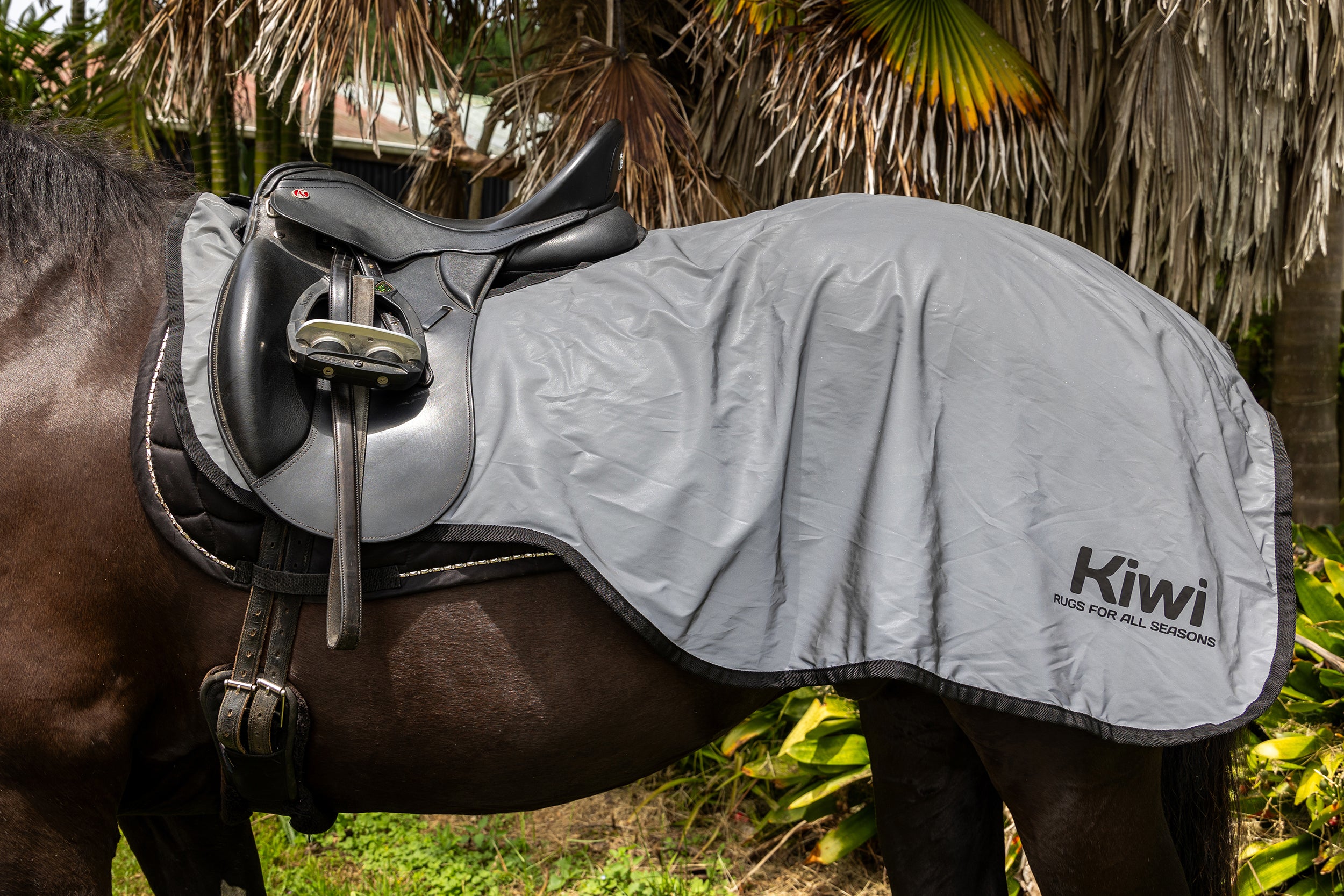 Reflective Riding Rug One / Large