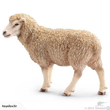 Schleich - Sheep%