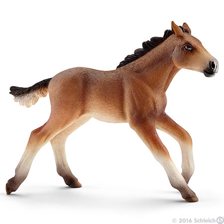 Schleich Mustang Foal%