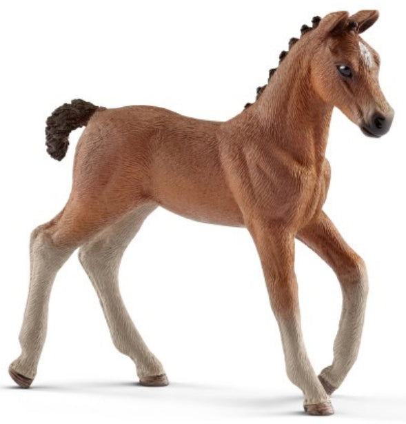 Schleich Hanoverian Foal%