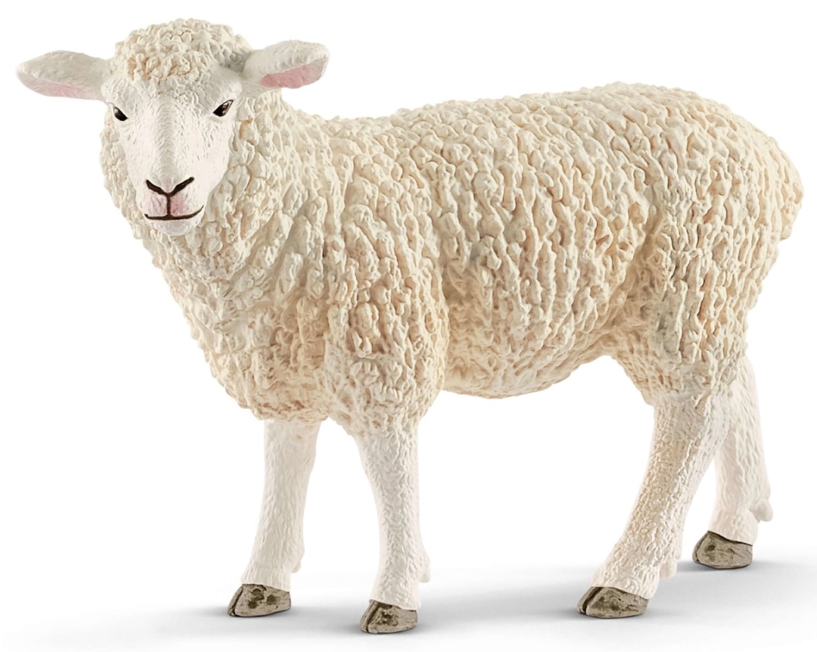 Schleich Sheep