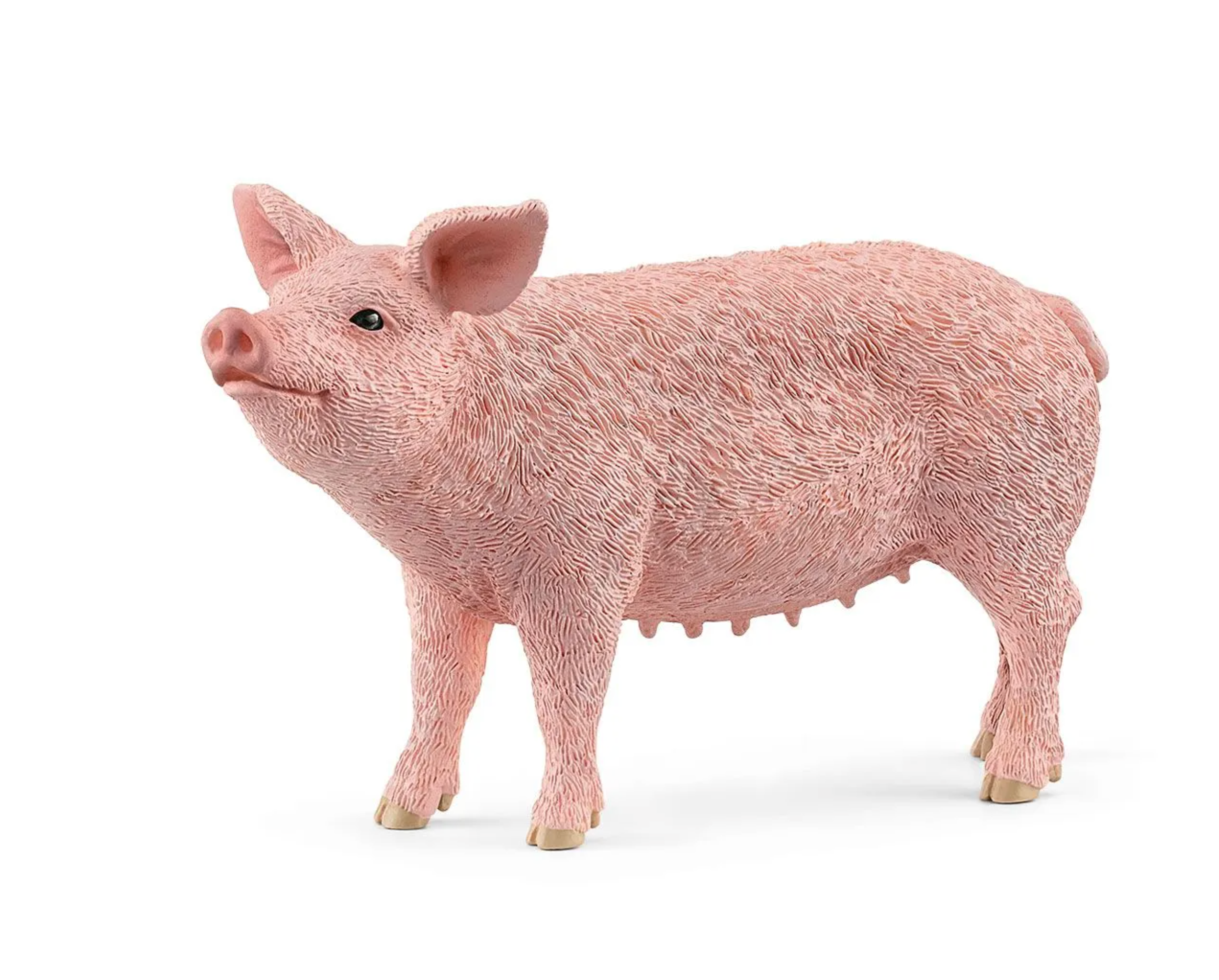 Schleich Pig
