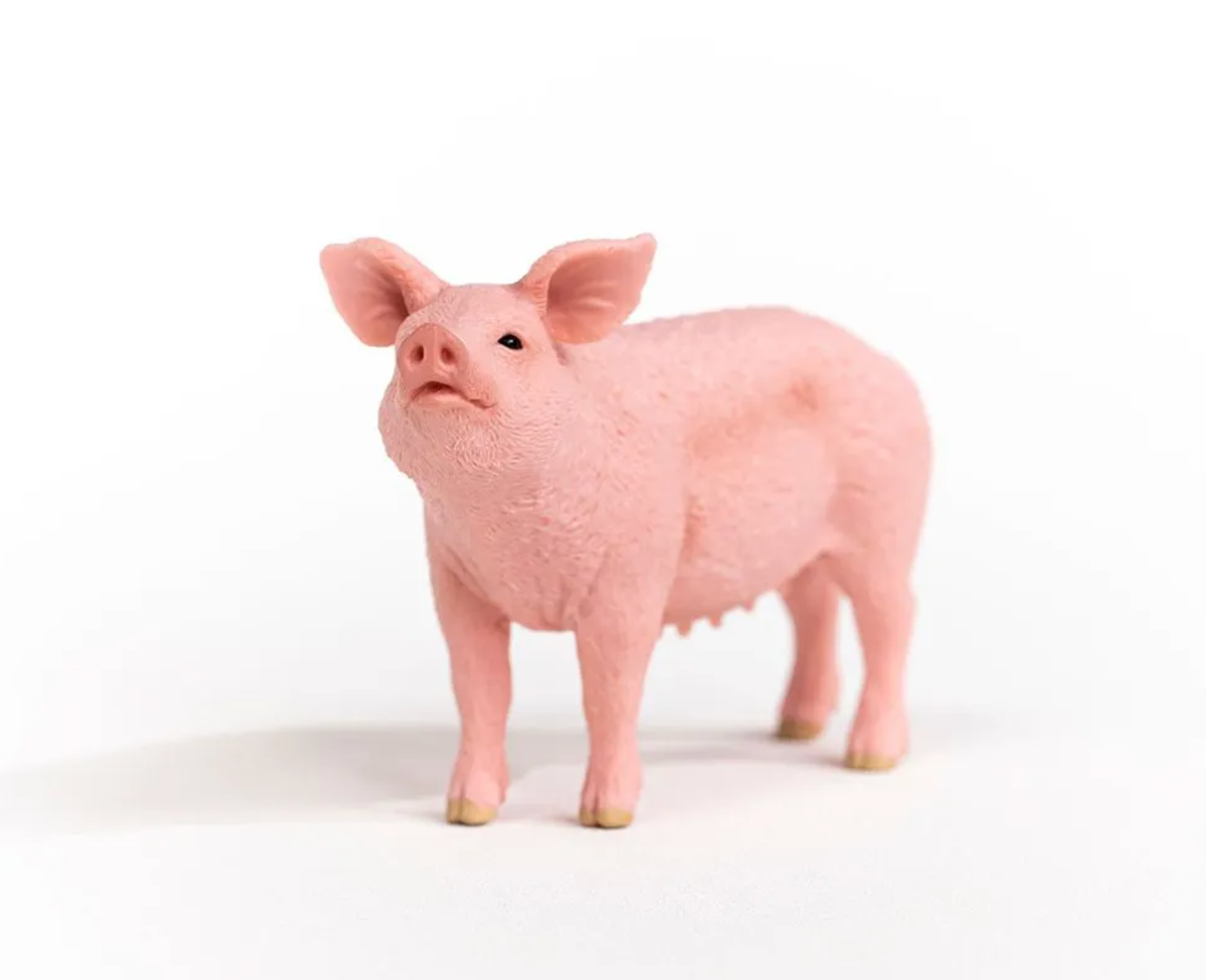 Schleich Pig