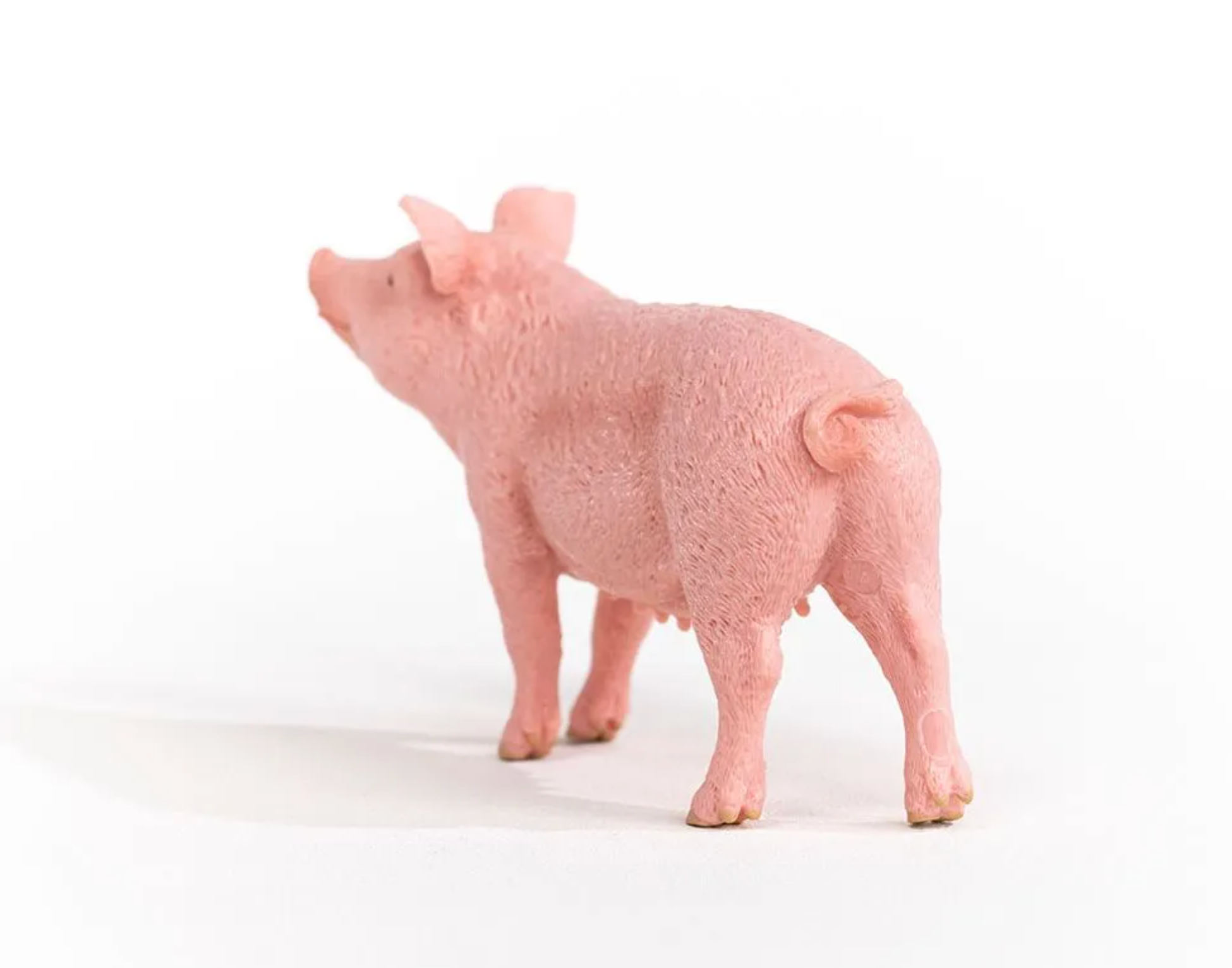 Schleich Pig