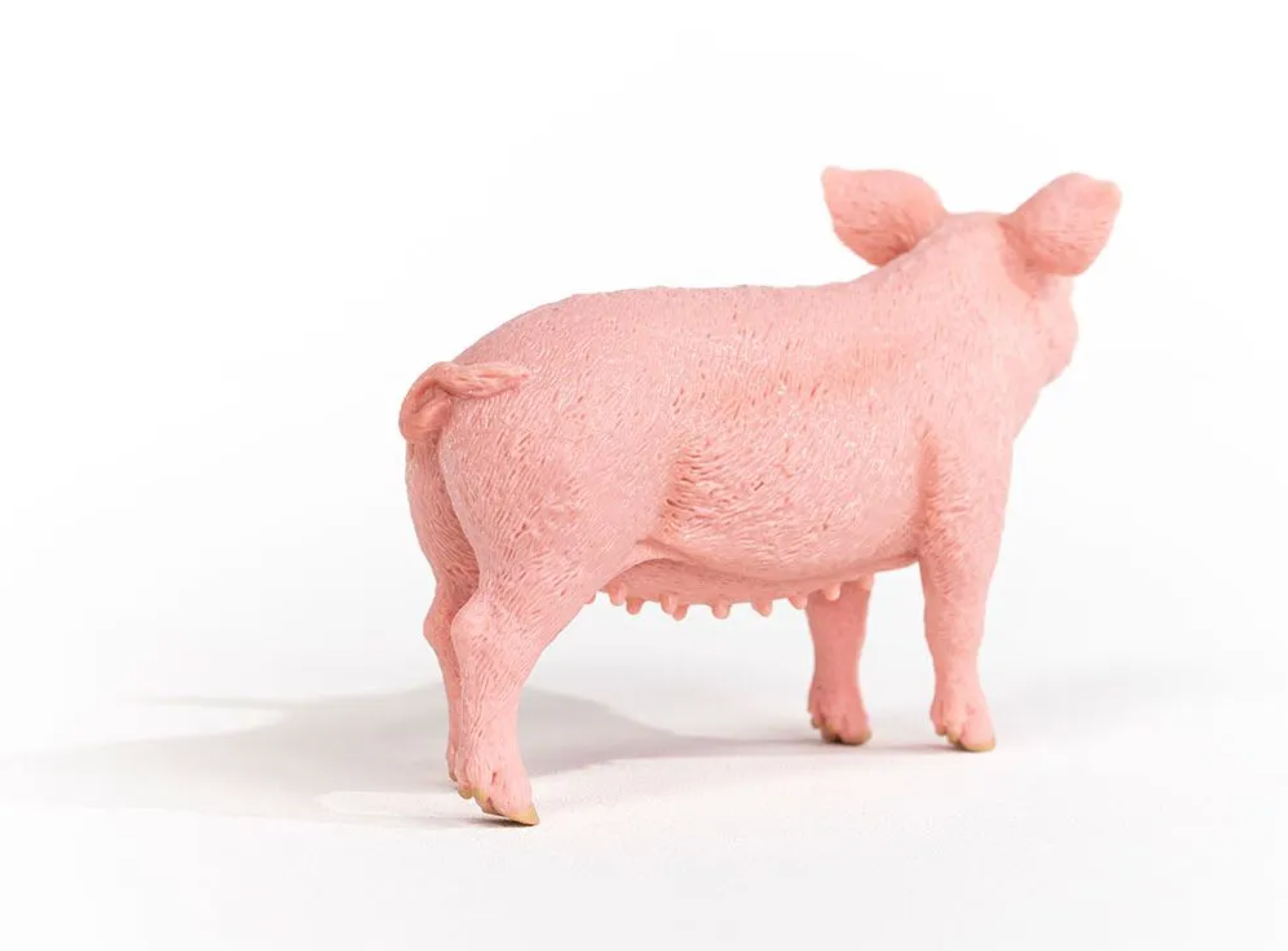Schleich Pig