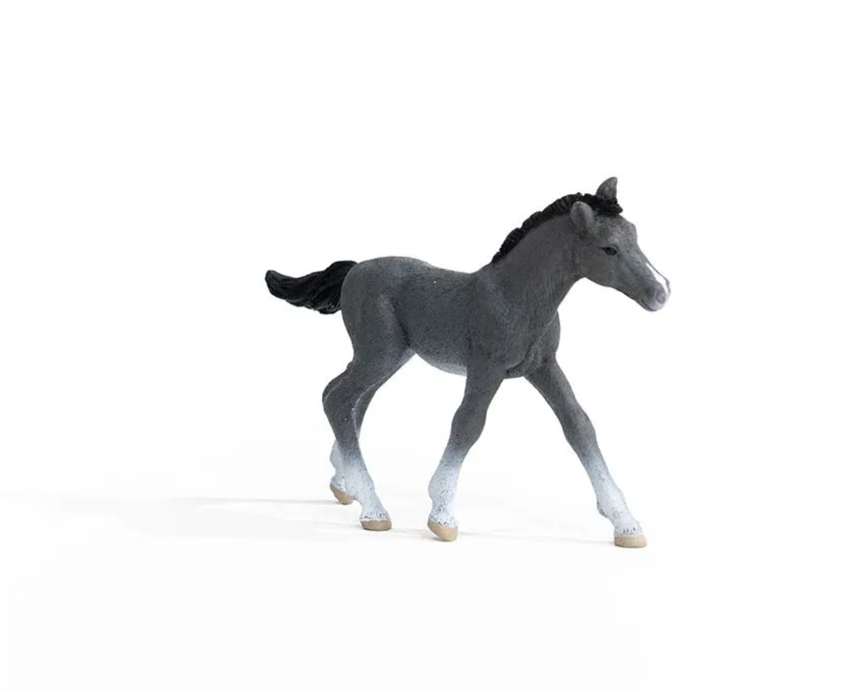 Schleich Trakehner Foal