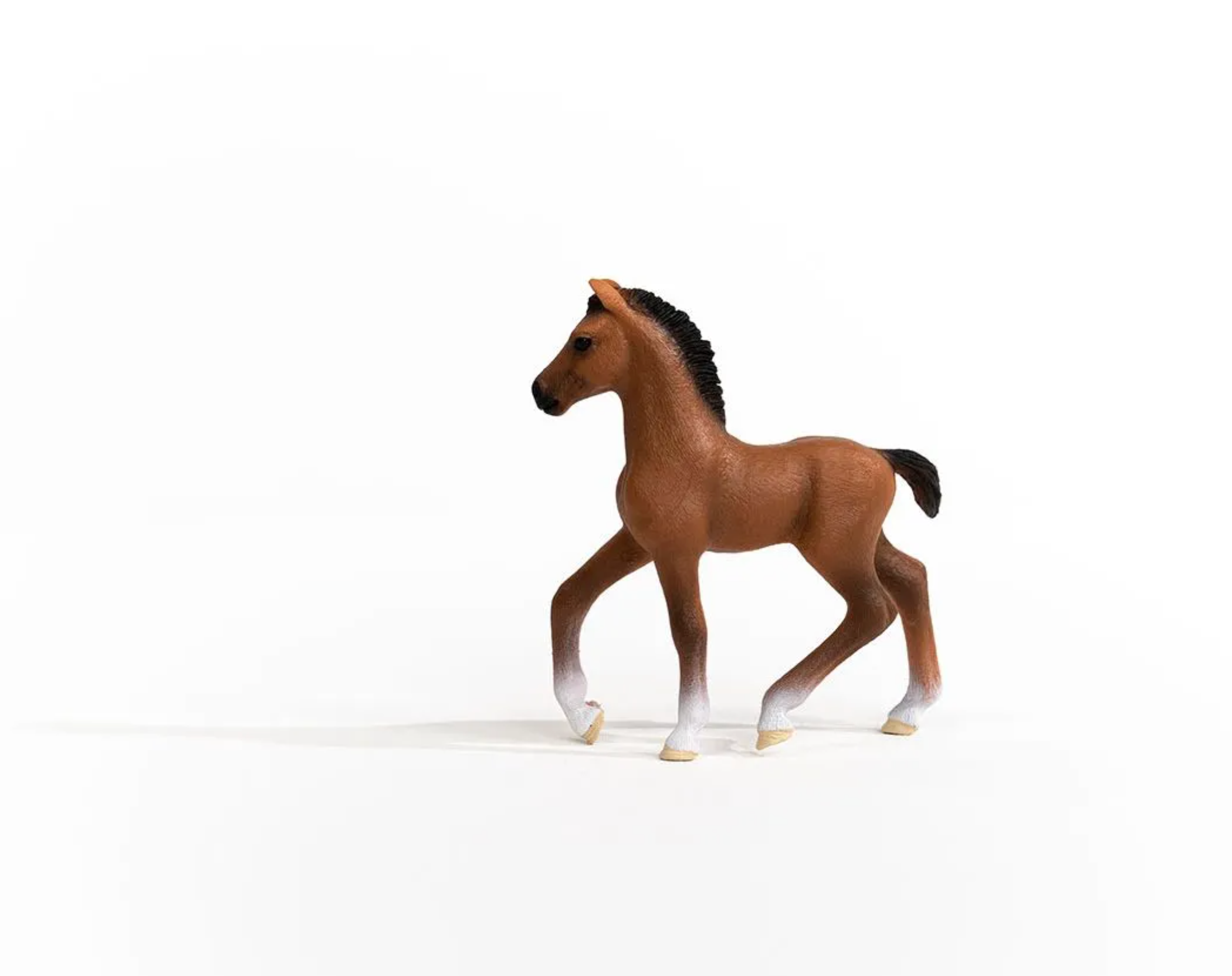 Schleich Oldenburger Foal