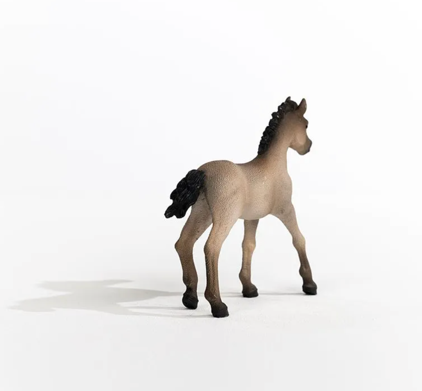 Schleich Criollo Definitivo Foal