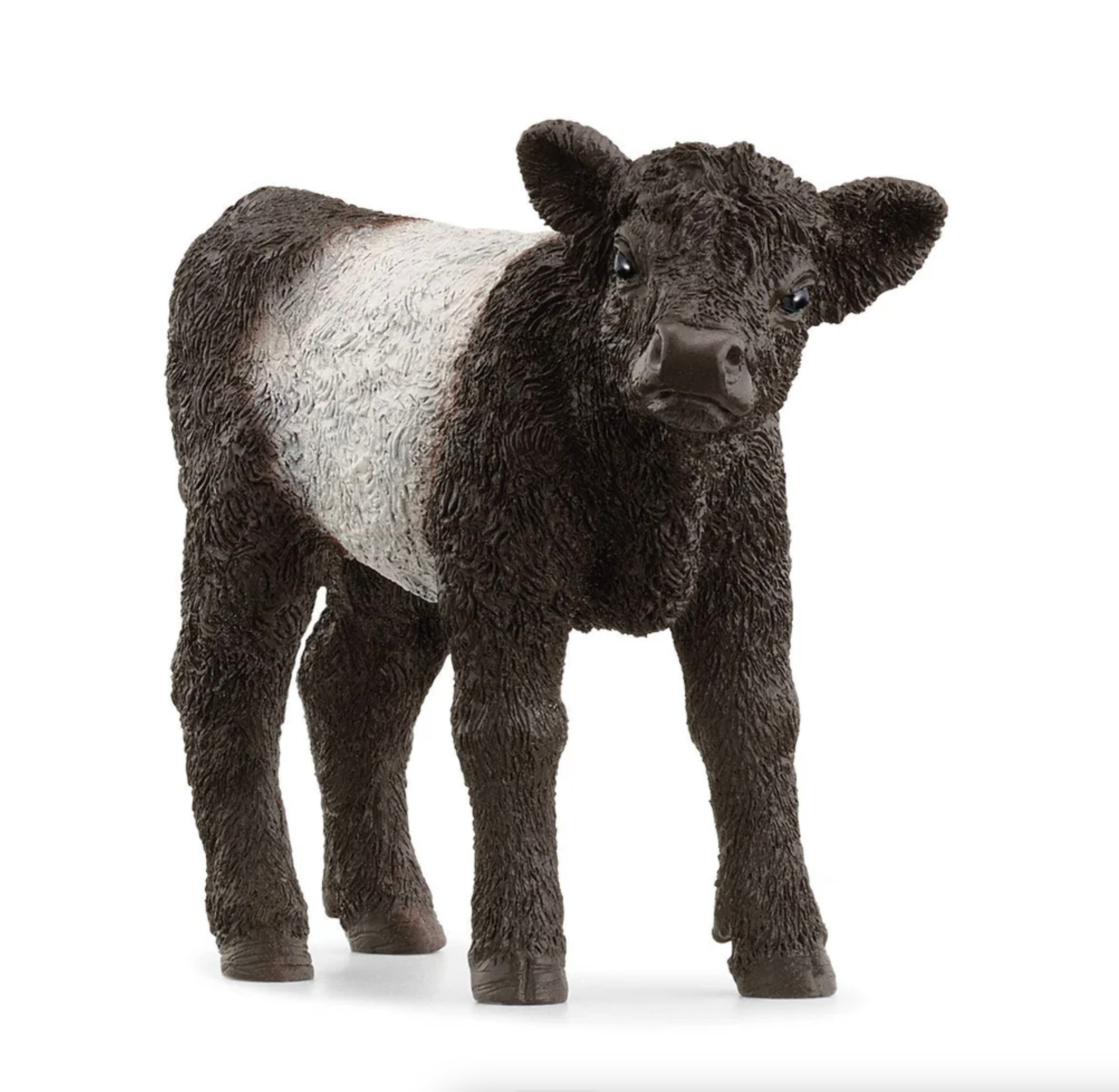 Schleich Galloway Calf