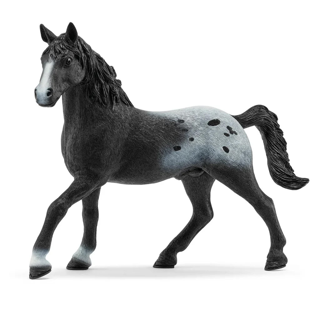 Schleich Knappstrupper Stallion