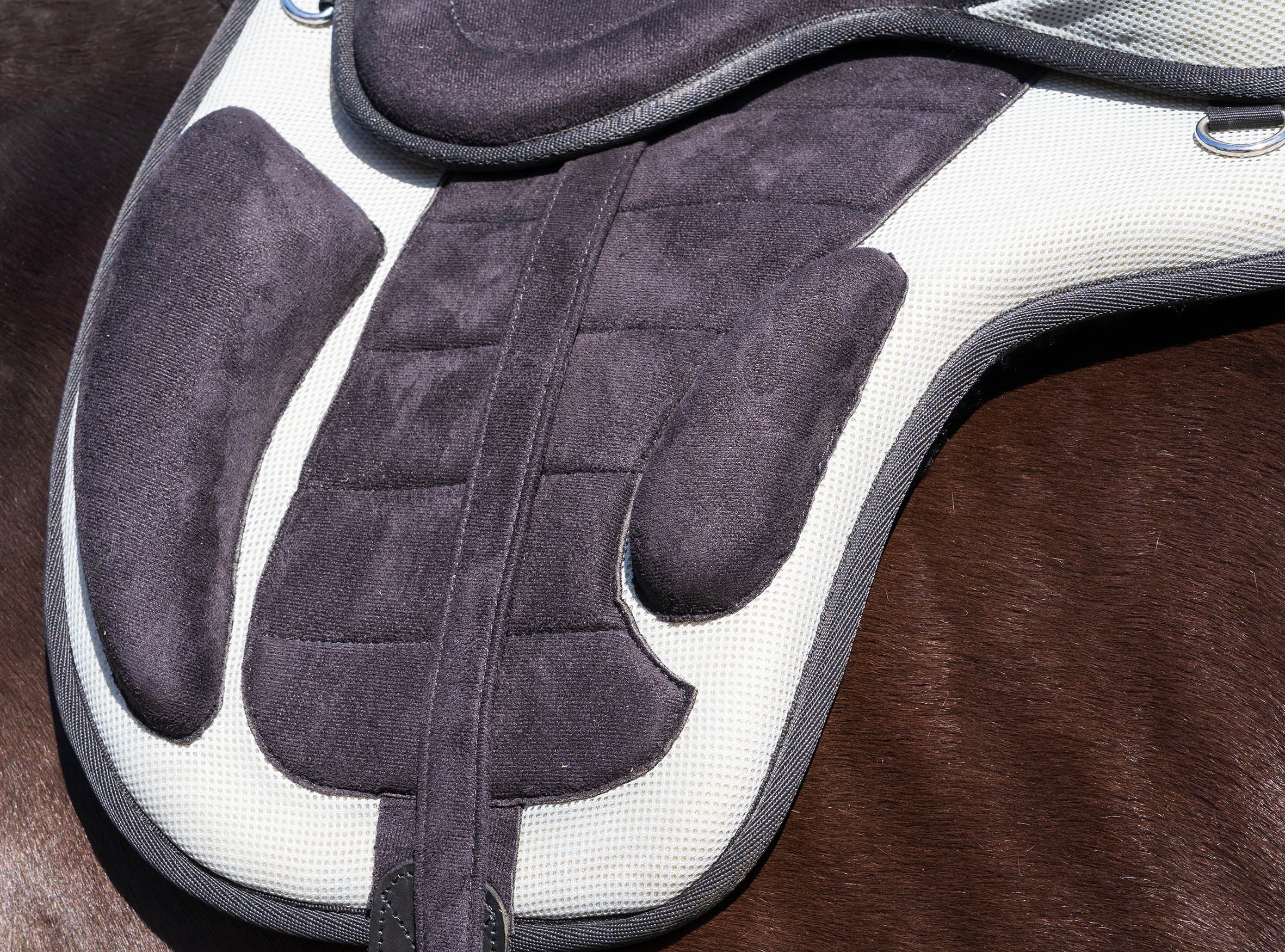 Enzo FreeMax Saddle Blue / 12