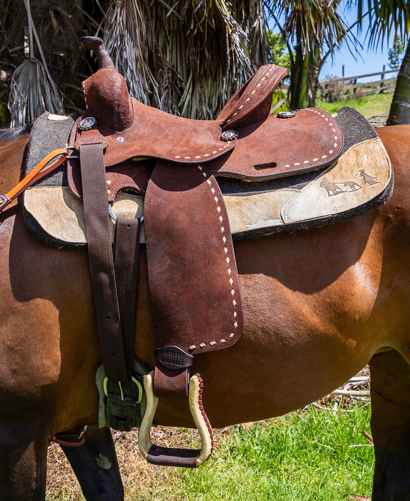 Origin Buckstitch Saddle One / 14