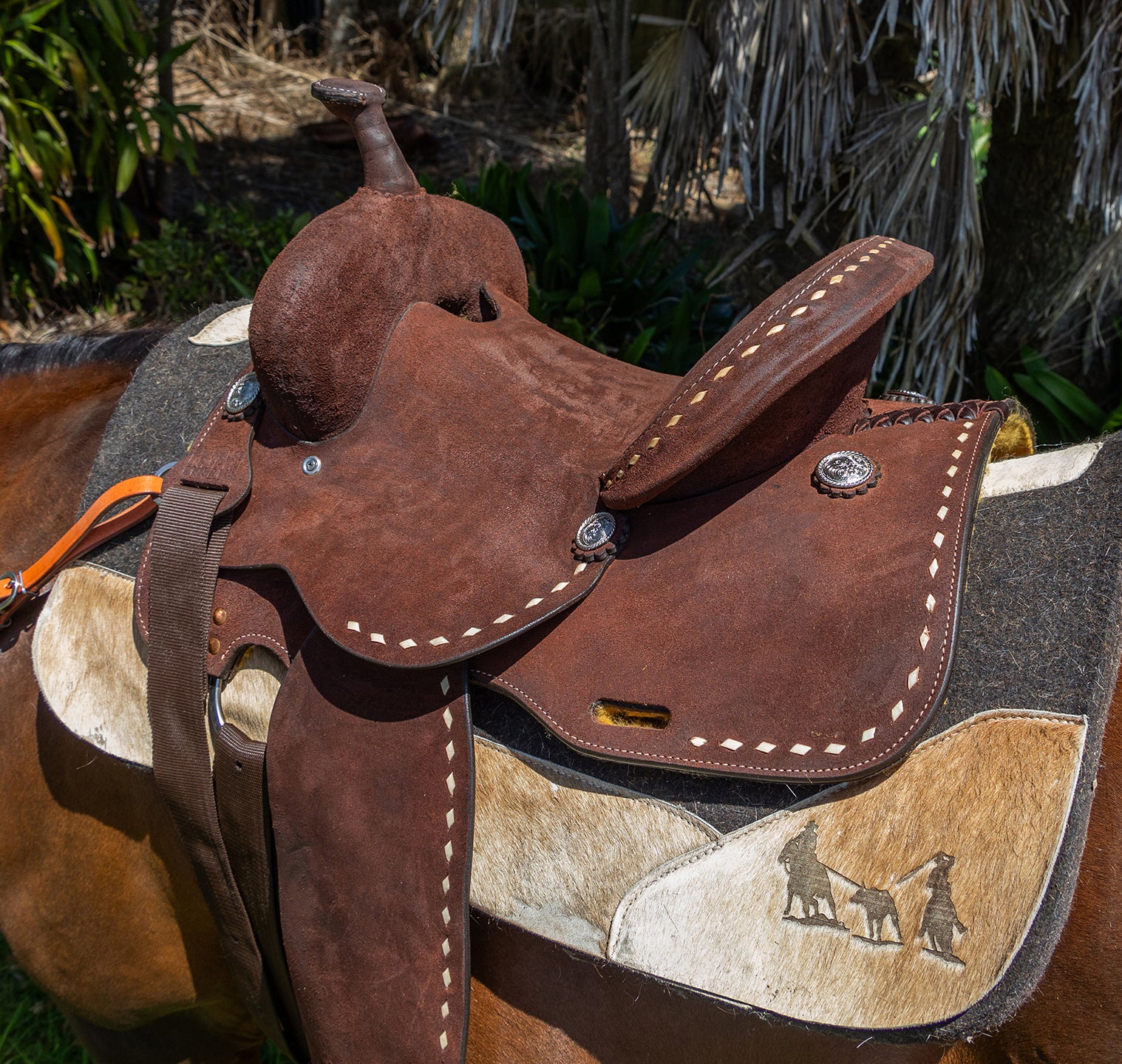 Origin Buckstitch Saddle One / 14