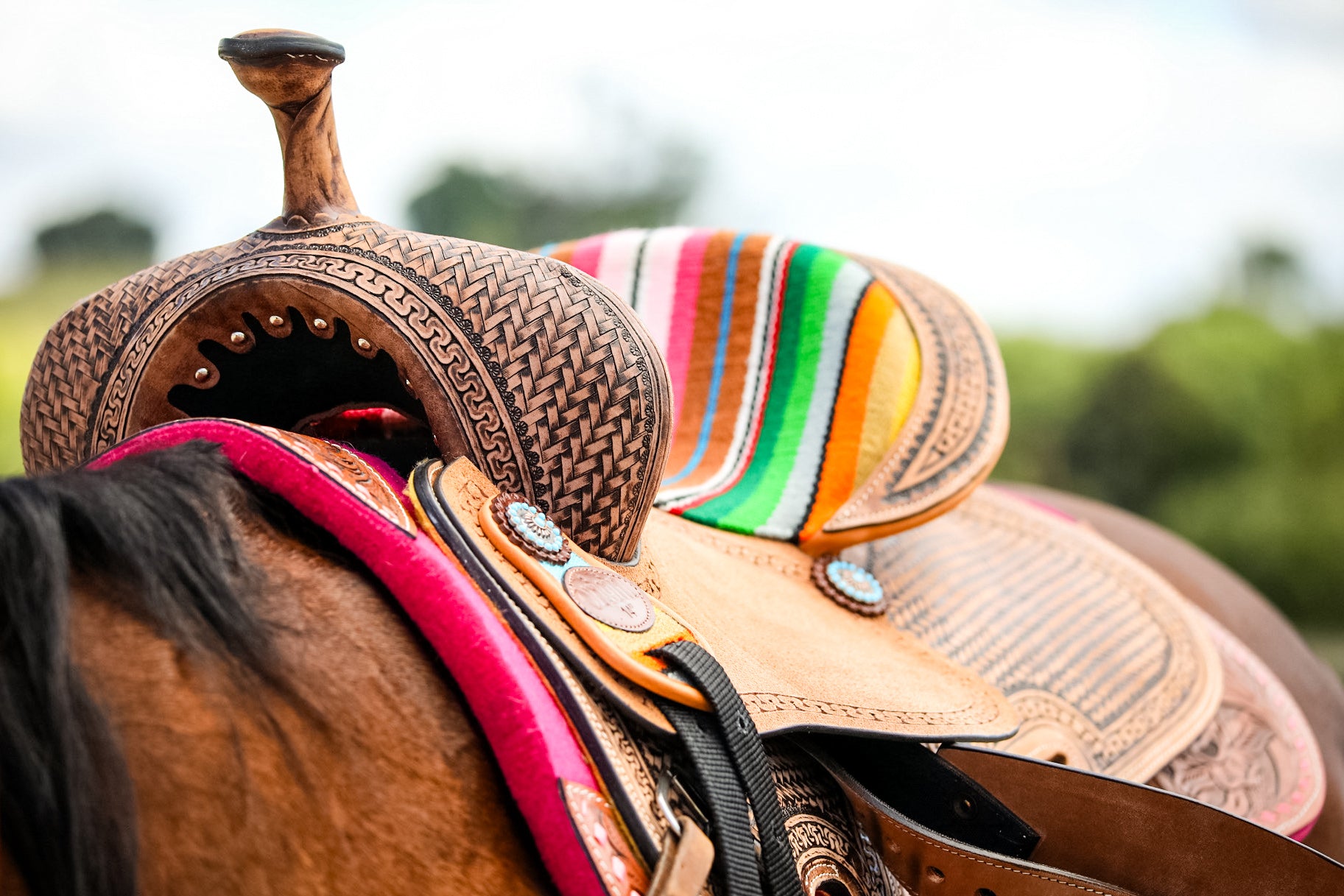 Origin Kota Barrel Saddle One / 12