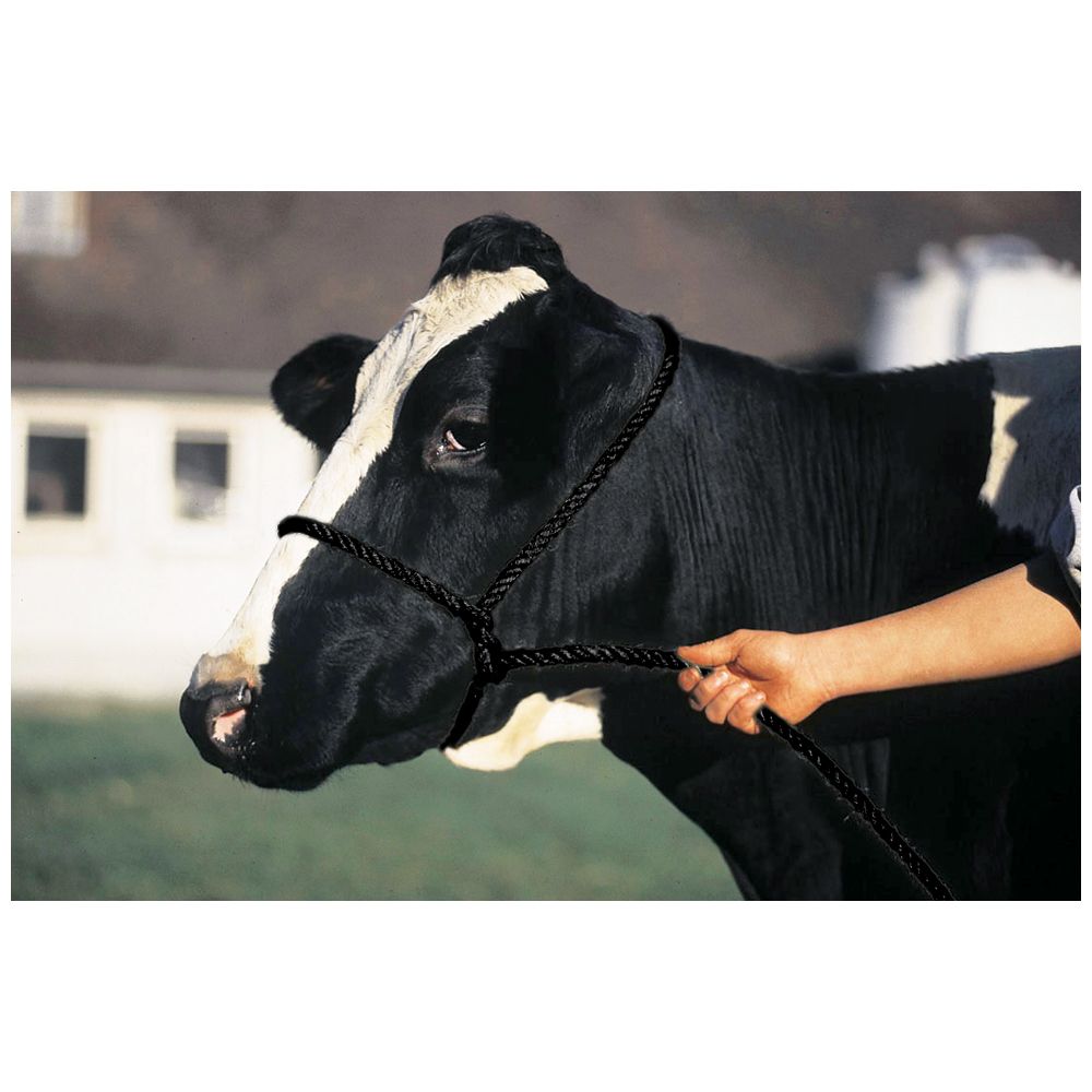Shoof Leg Ropes Shoof Halter Poly Rope Calf