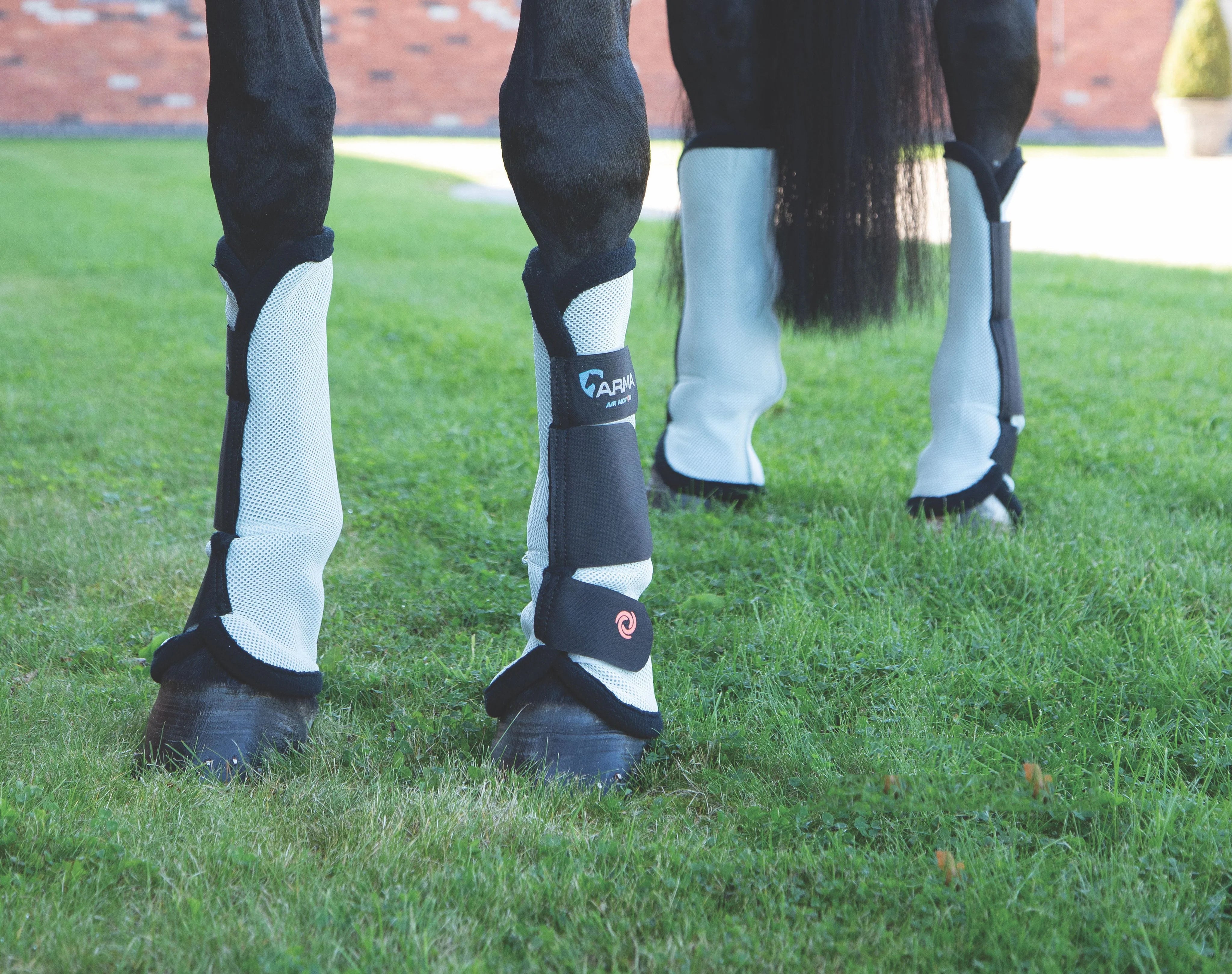 Shires ARMA Fly Turnout Socks Aqua / Full