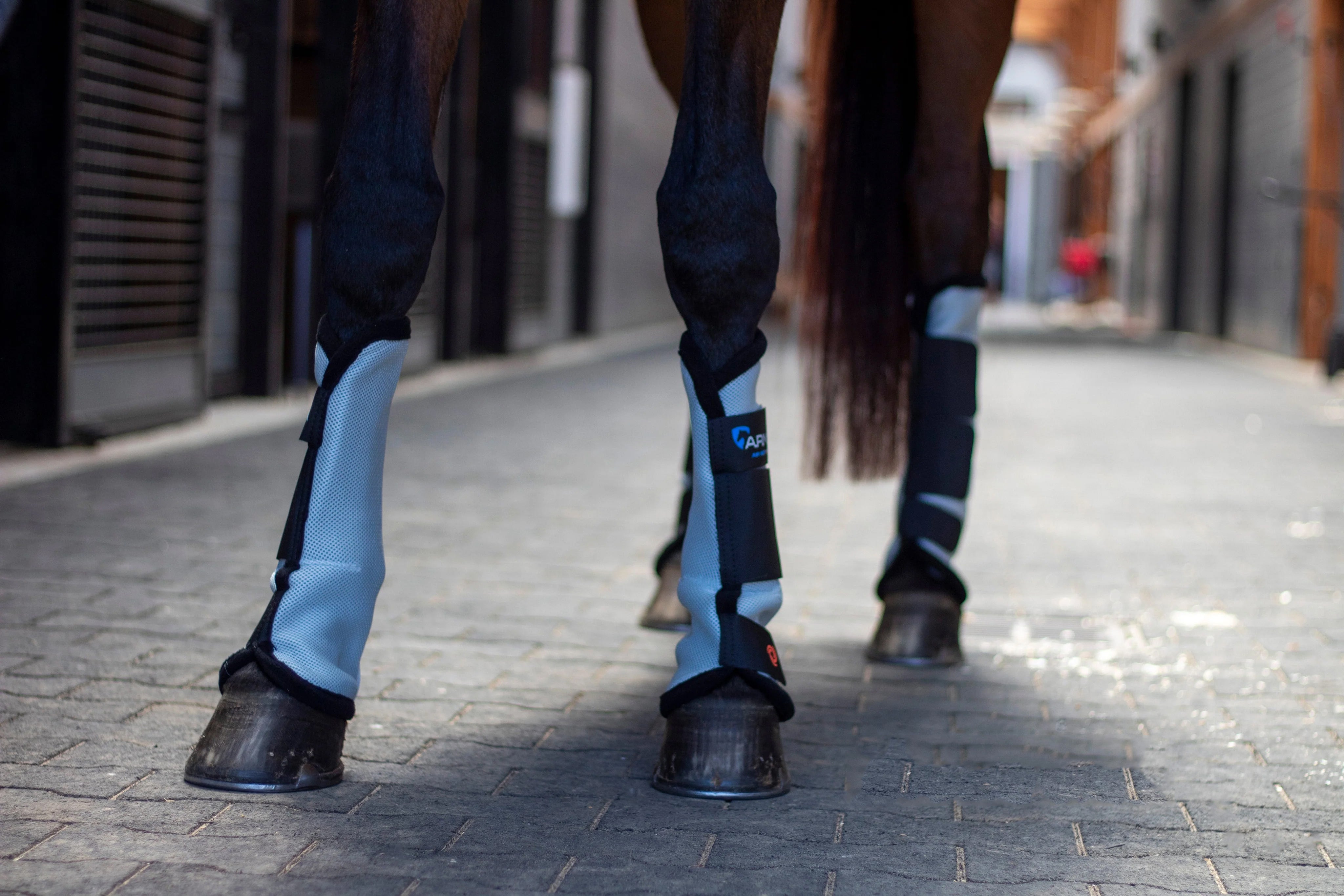 Shires ARMA Fly Turnout Socks Aqua / Full