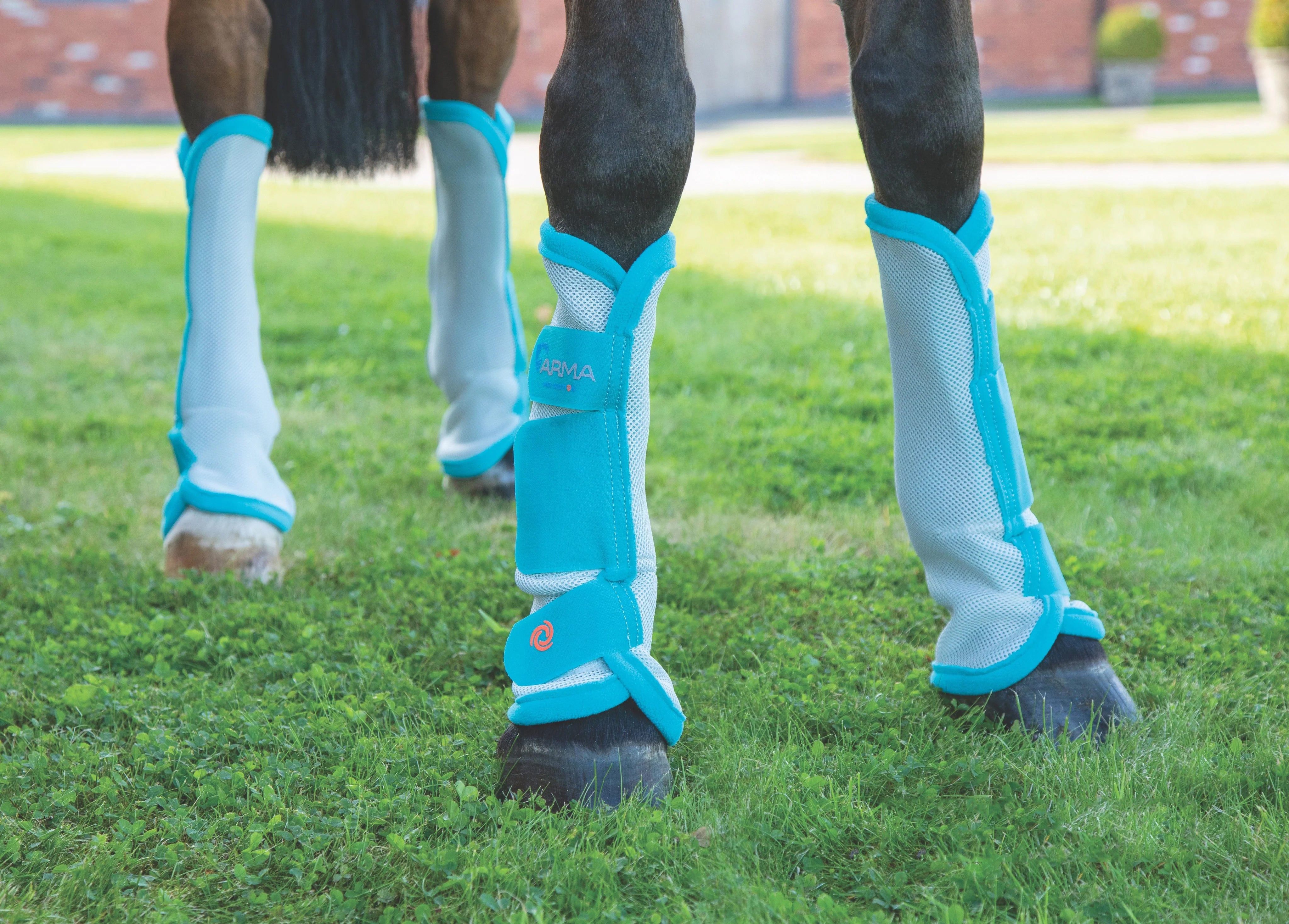 Shires ARMA Fly Turnout Socks Aqua / Full