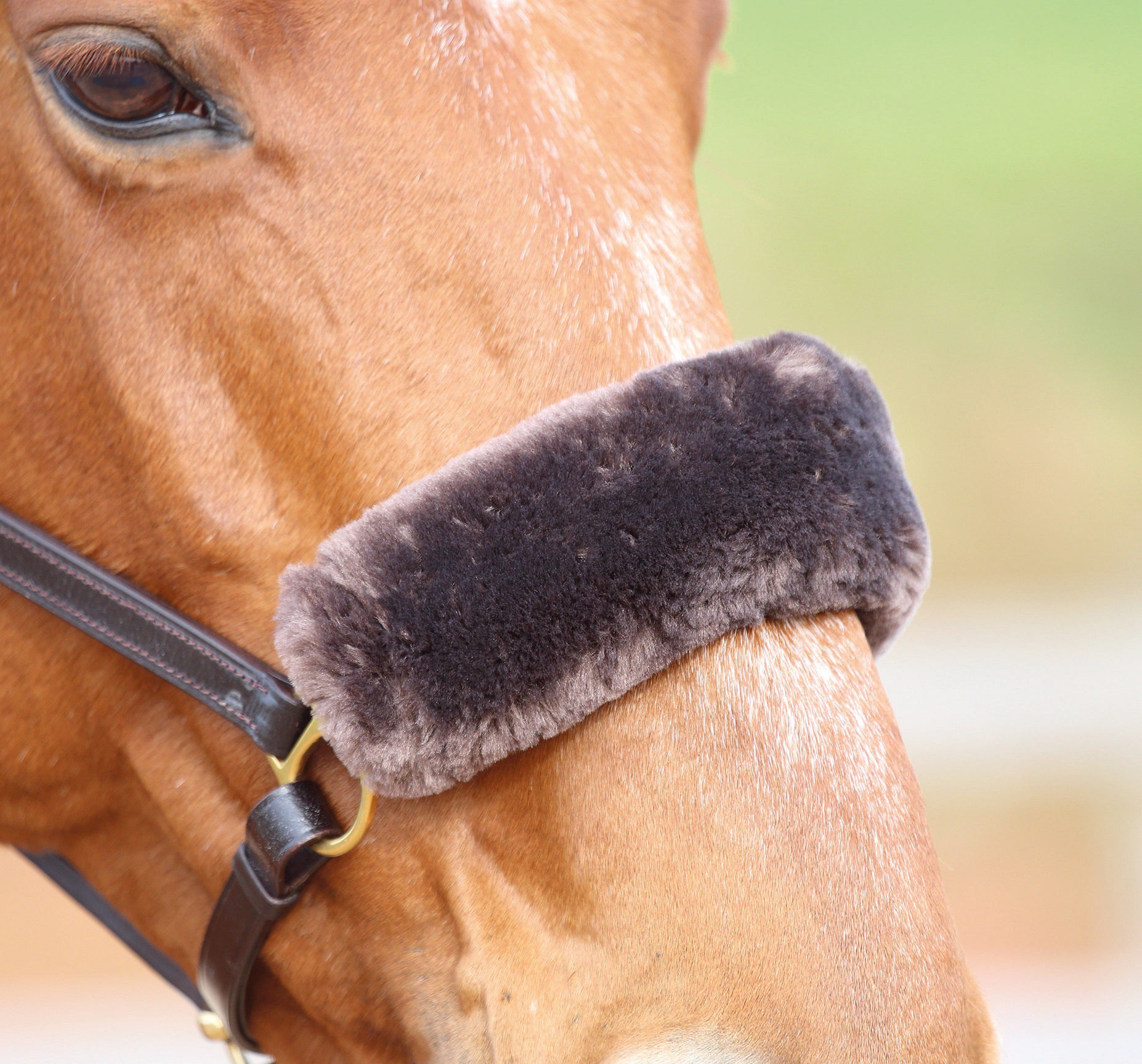Shires Supafleece Noseband Sleeve Black / All