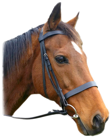 Enzo Flat Show Bridle Black / X Full