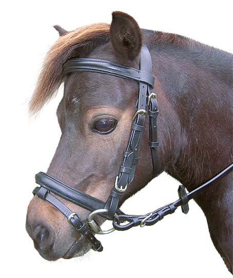 Enzo Hanoverian Raised Bridle Mini Black / Mini