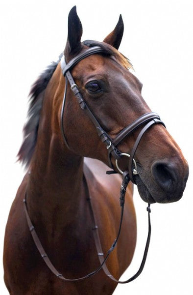 Enzo Hanoverian Raised Bridle Brown / Pony