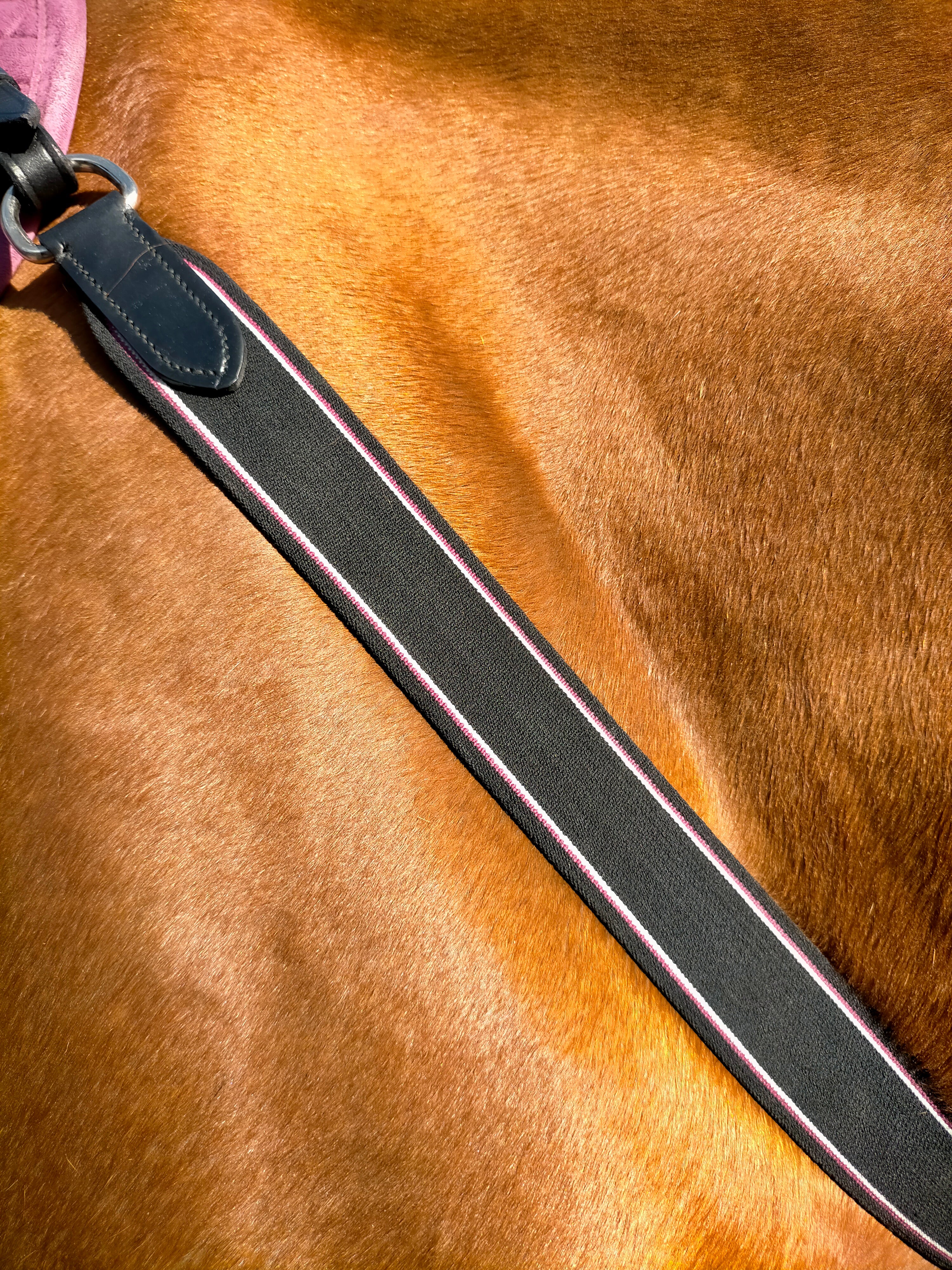 Enzo Y Shape Elastic Breastplate Black / X Full