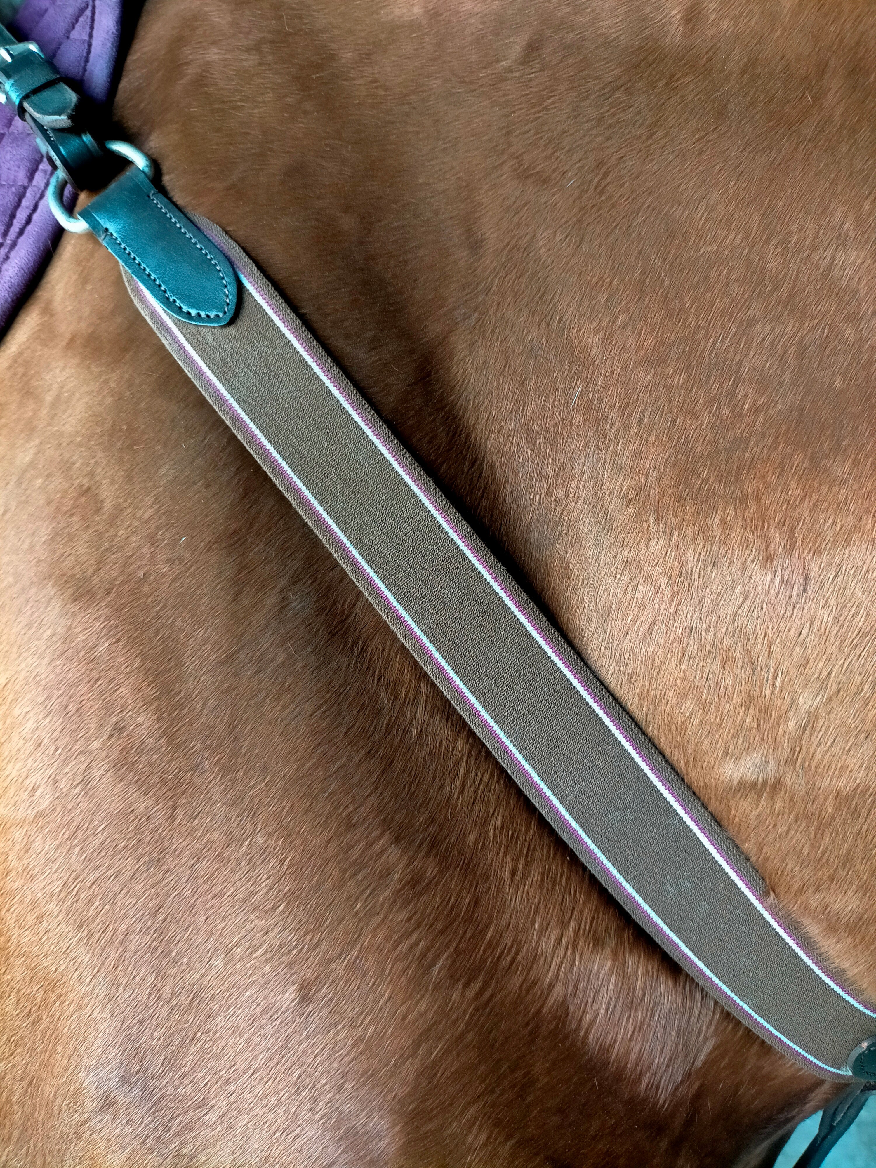 Enzo Y Shape Elastic Breastplate Black / X Full