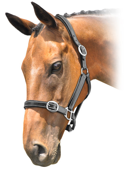 Prima Lthr Stitched Halter Black/Black / Small Pony
