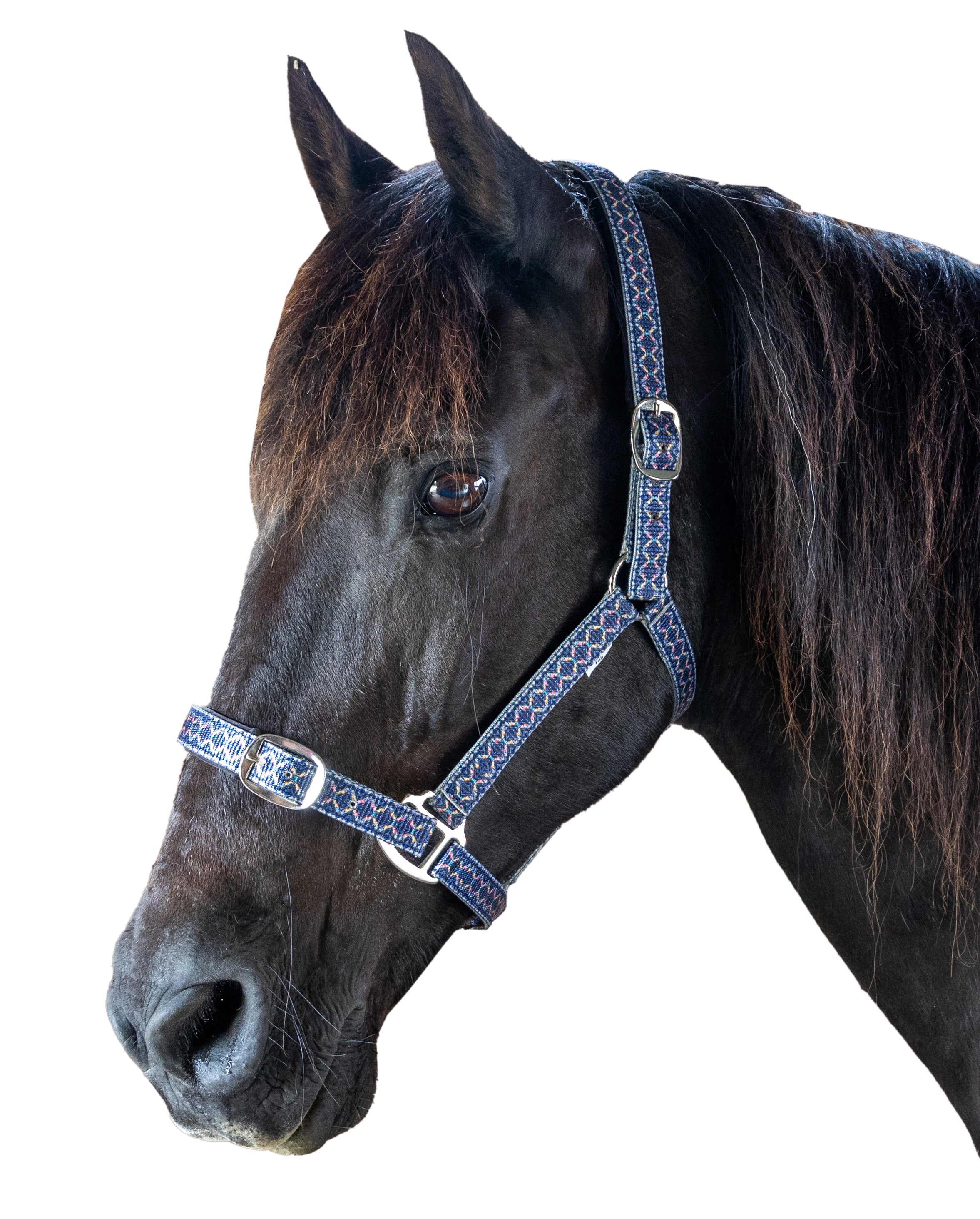 Prima Plus Cheyenne Web Halter One / Cob