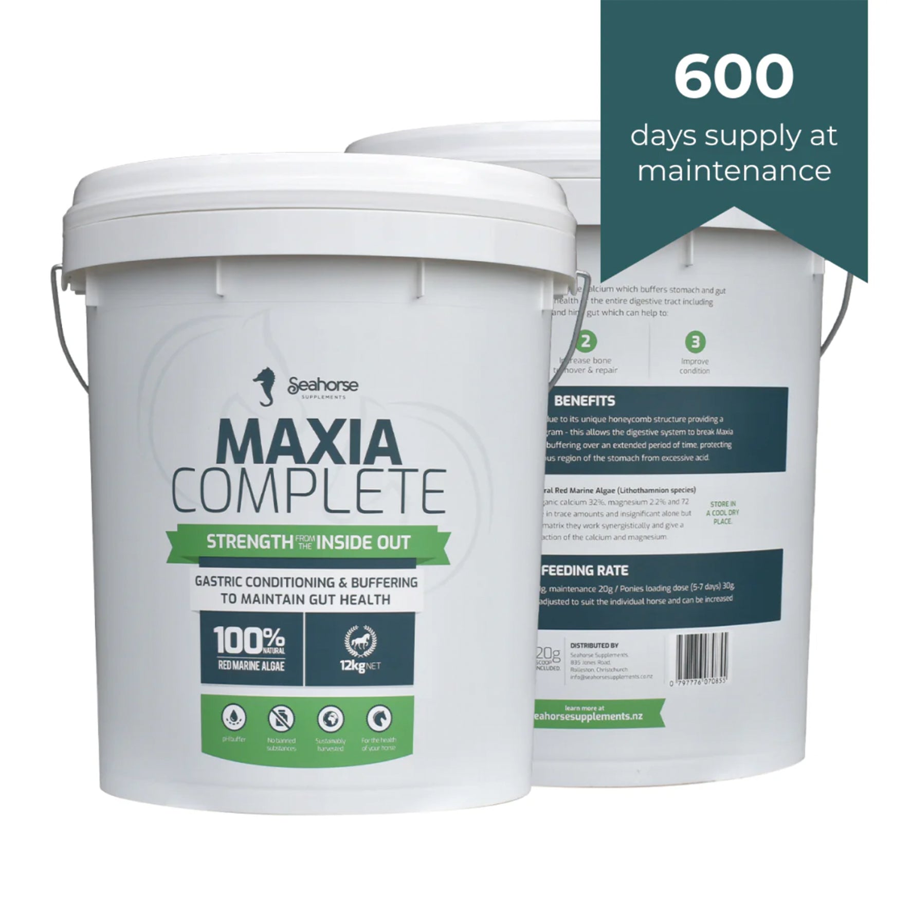 Seahorse Maxia Complete
