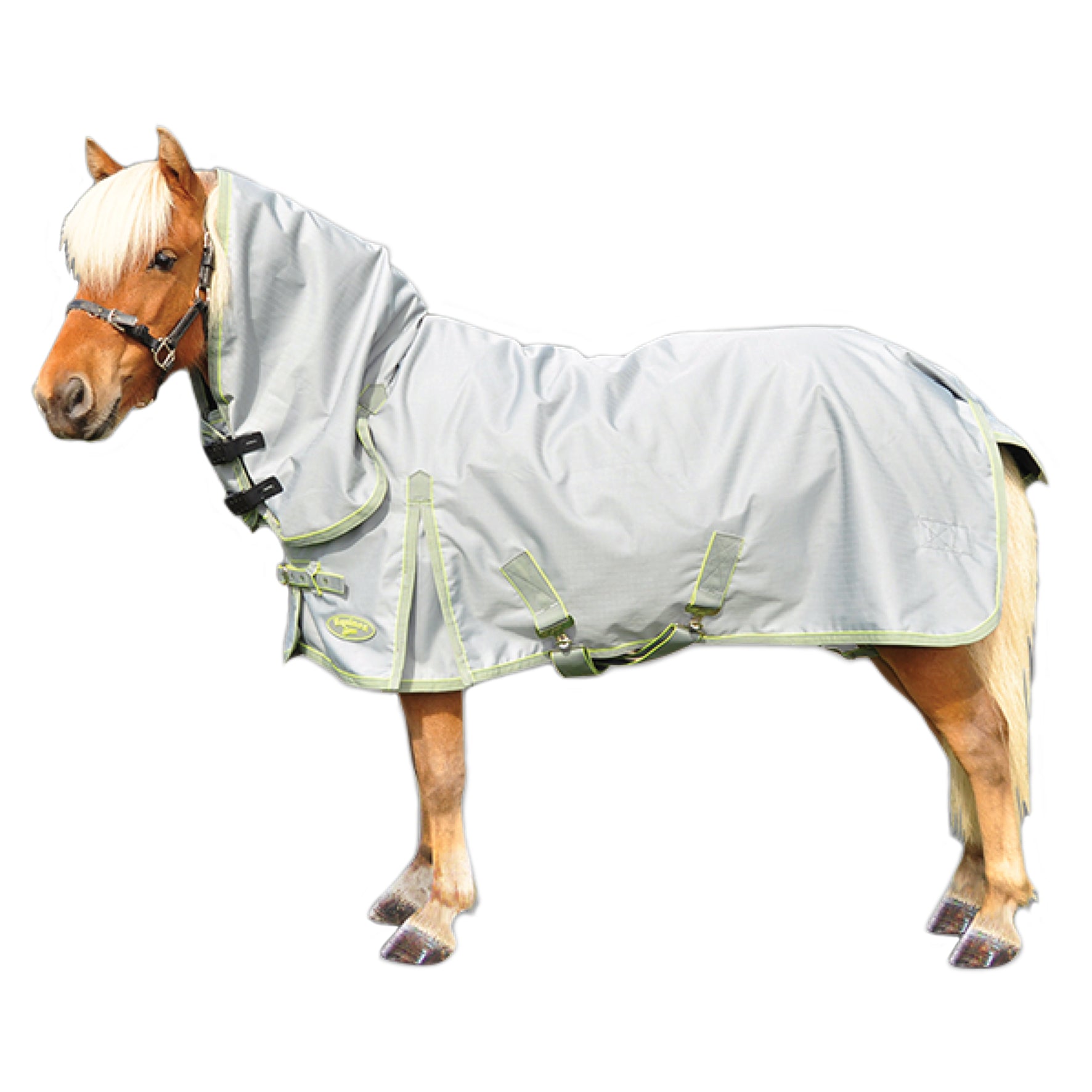 Shires 1200 Equinox Combo One / 3