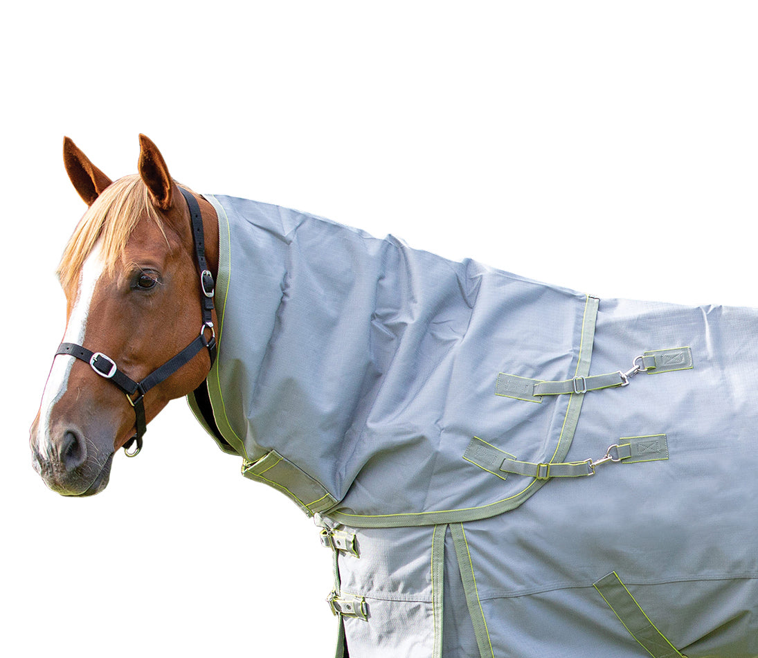 Shires 1200 Equinox Neck One / Large