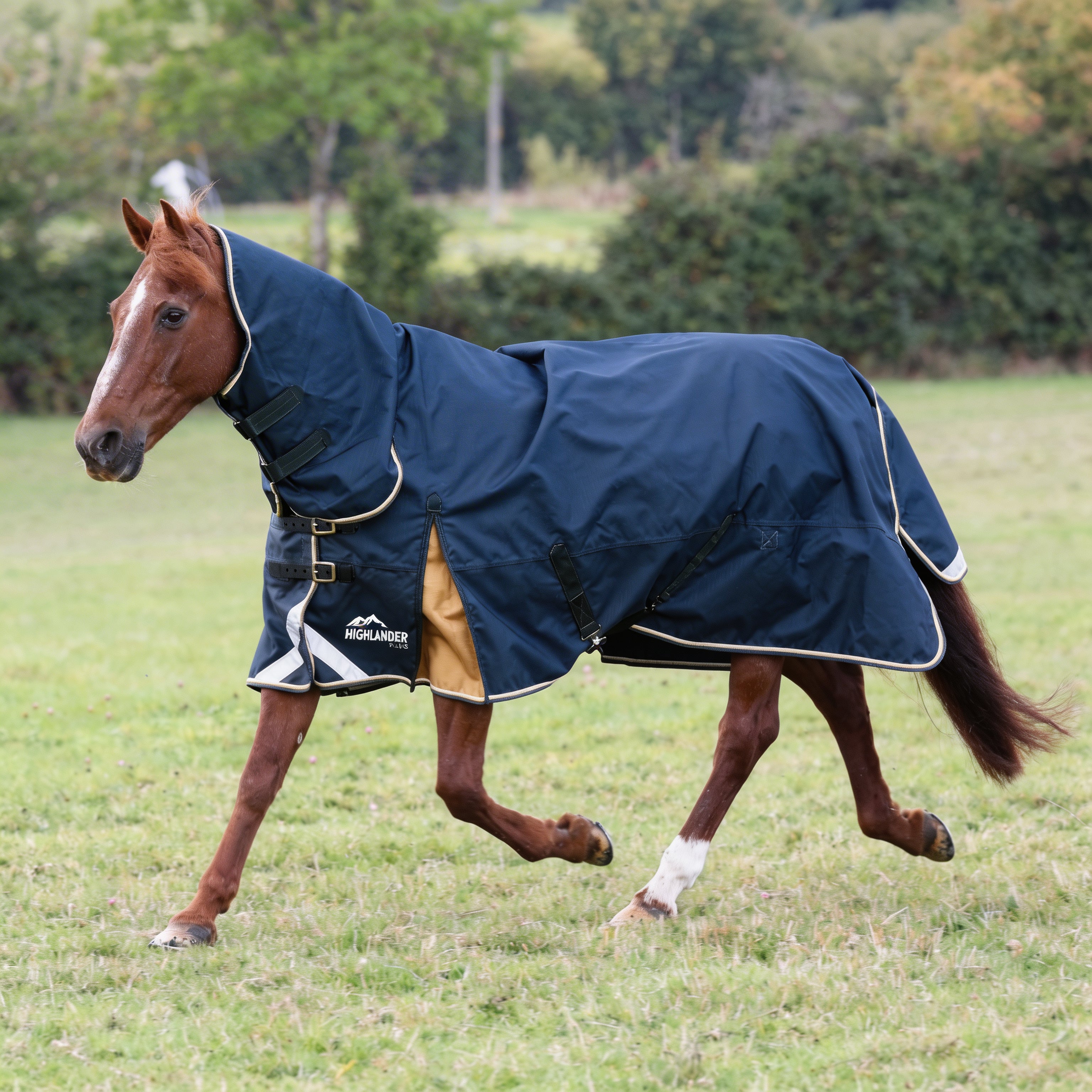 Shires Highlander Plus Combo 300g One / 3.6