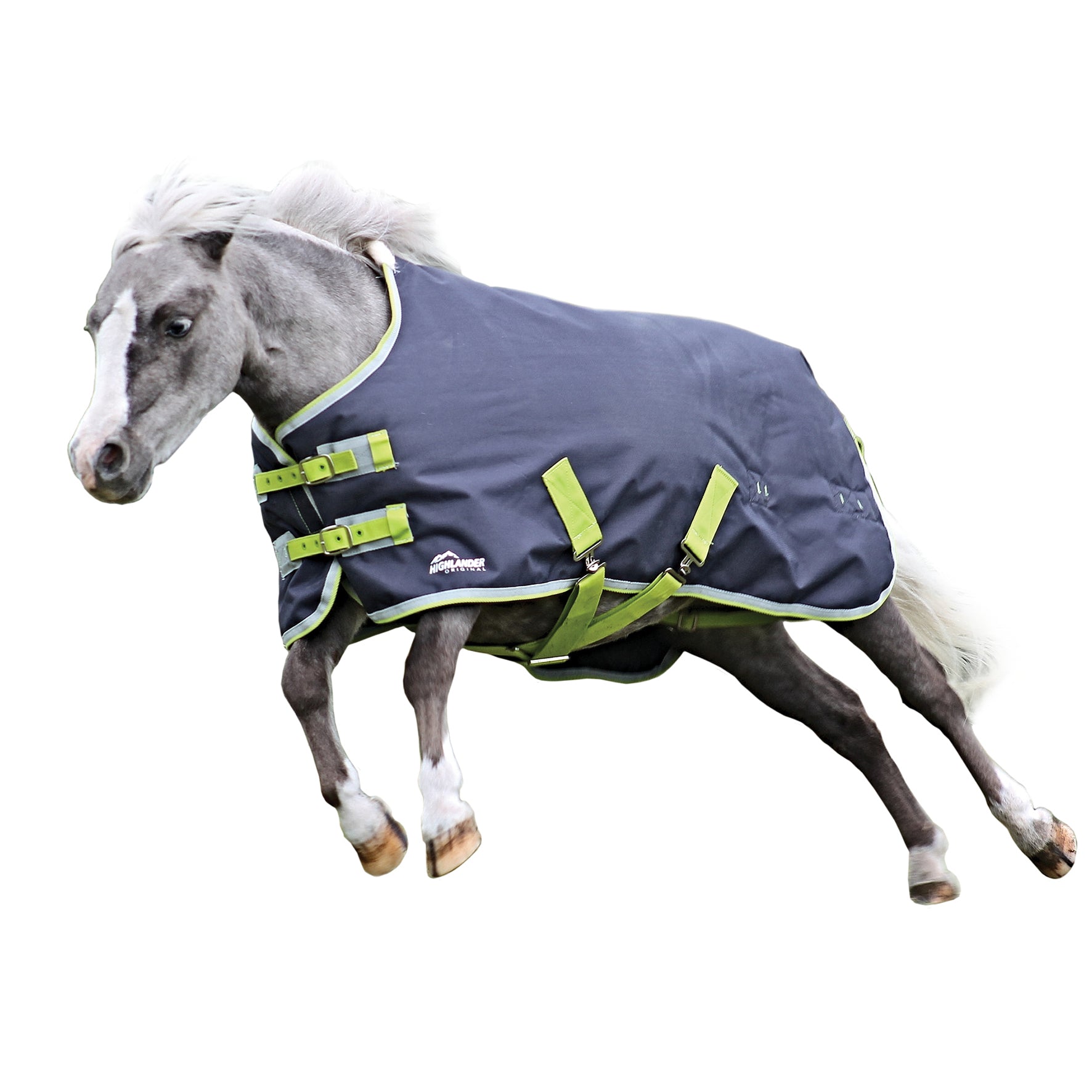 Shires Miniature Highlander Rug One / 24