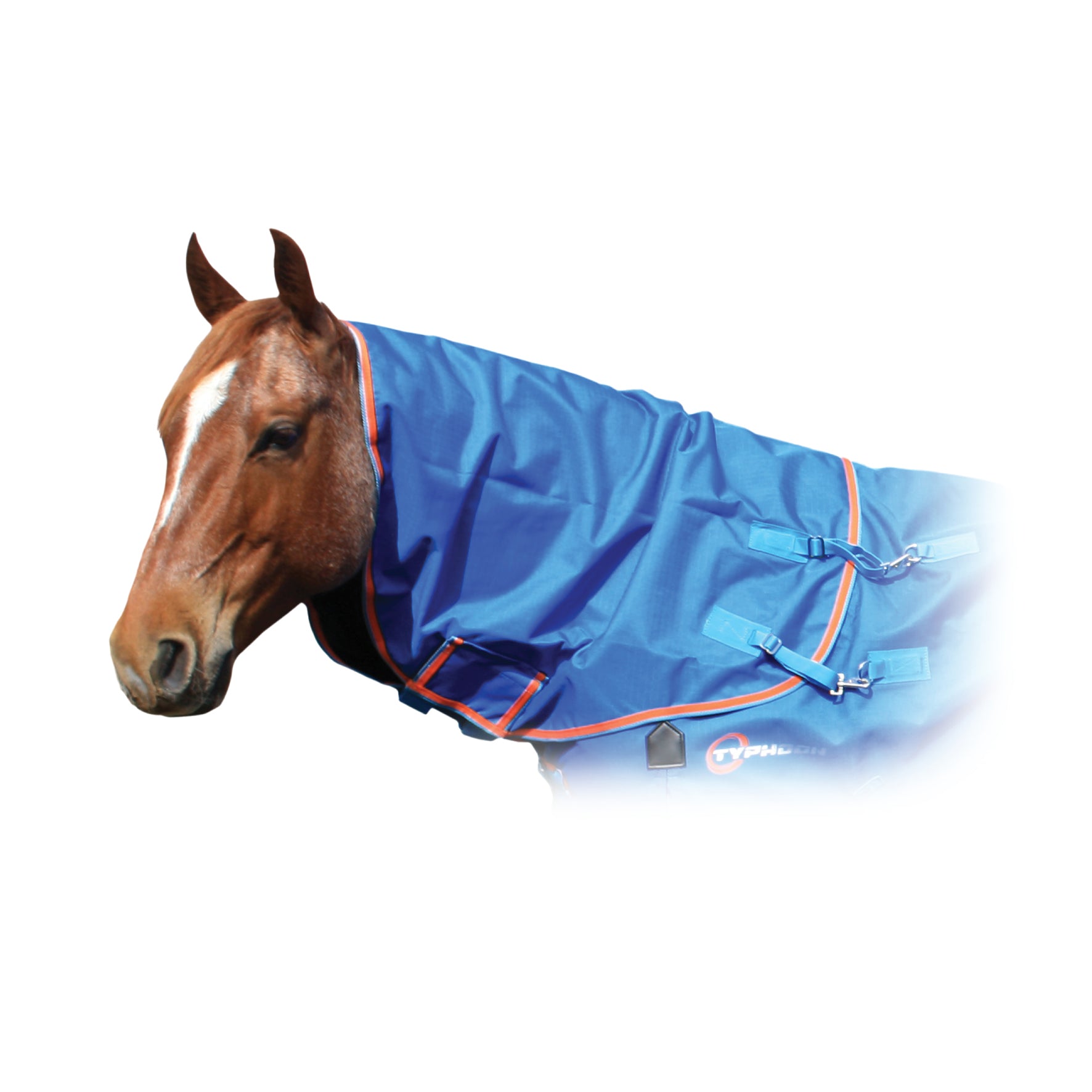 Shires Summer Typhoon Neck Rug One / Large