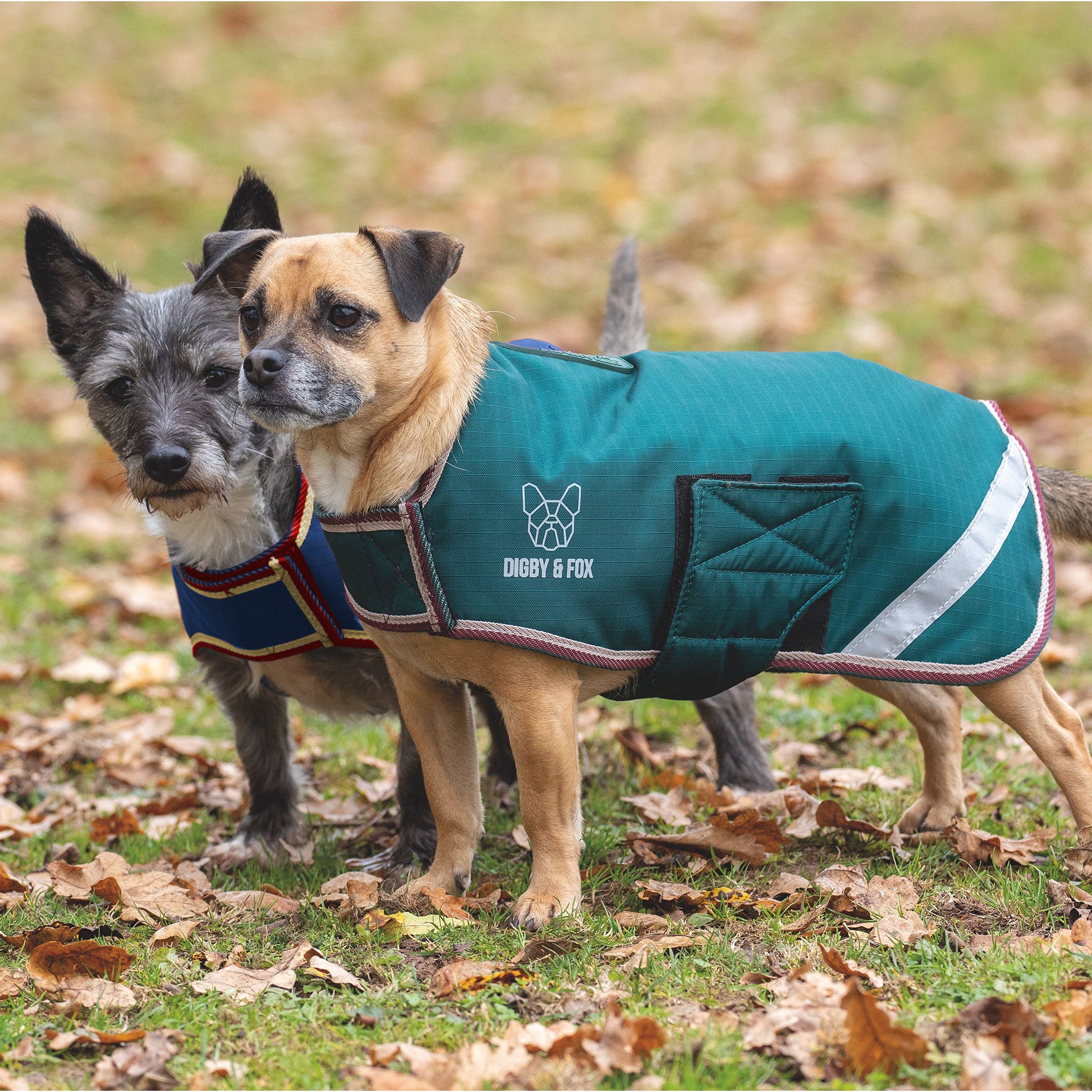 Shires Waterproof Dog Coat Navy / XX Large