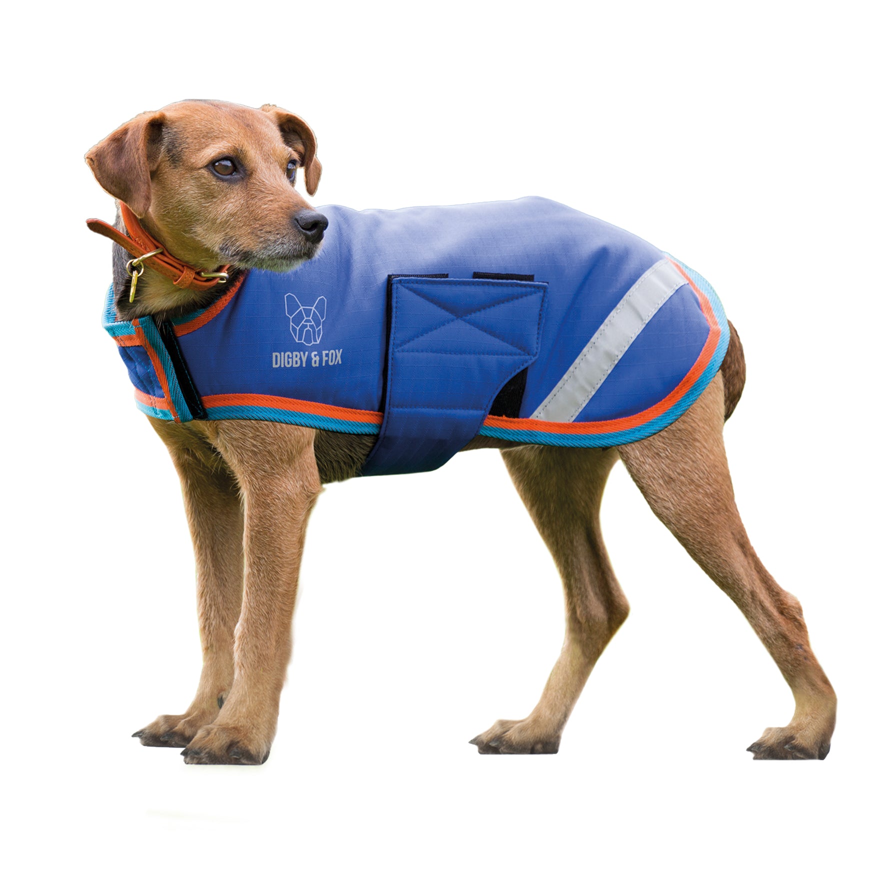 Shires Waterproof Dog Coat (XXXXS Red%