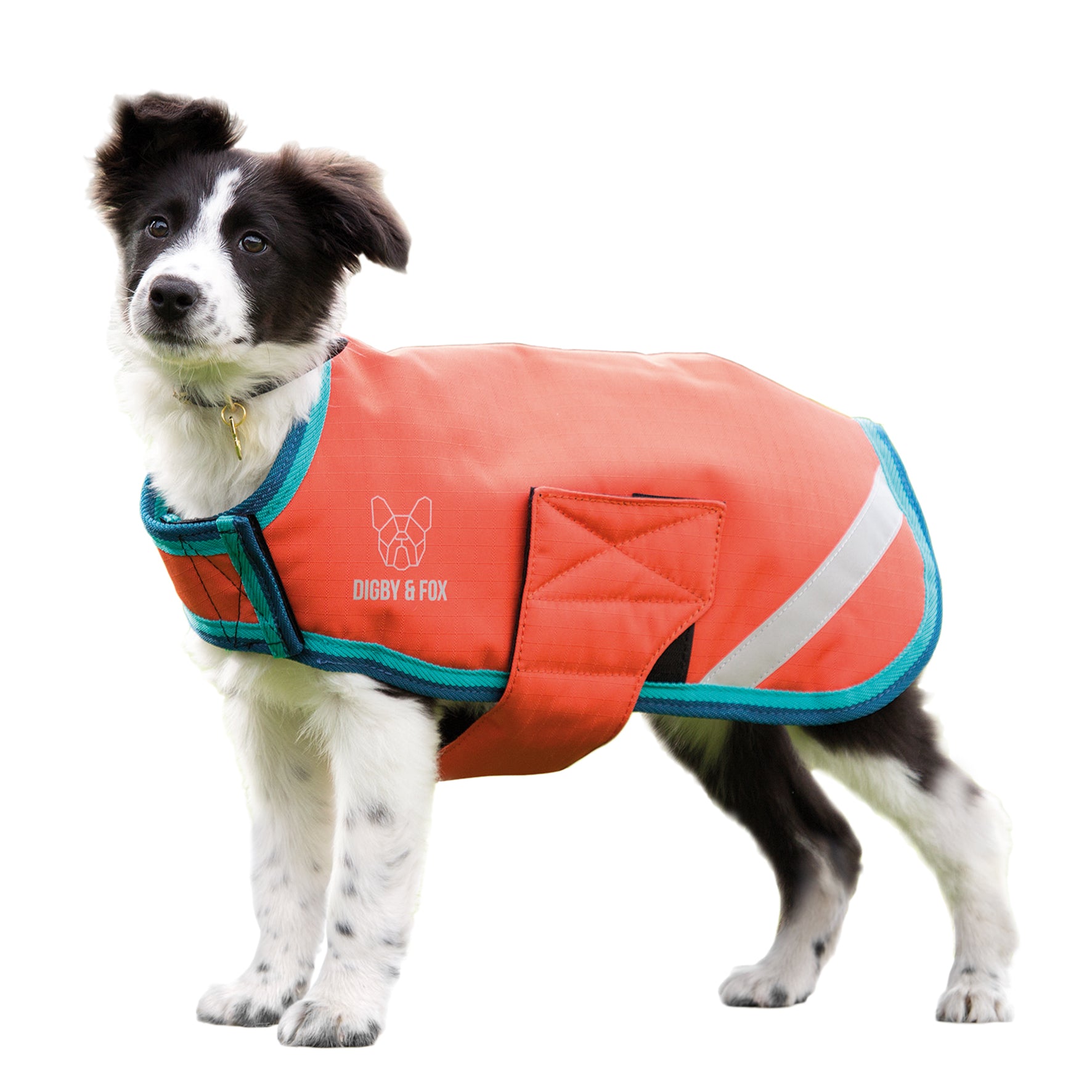 Shires Waterproof Dog Coat (XXXXS Red%