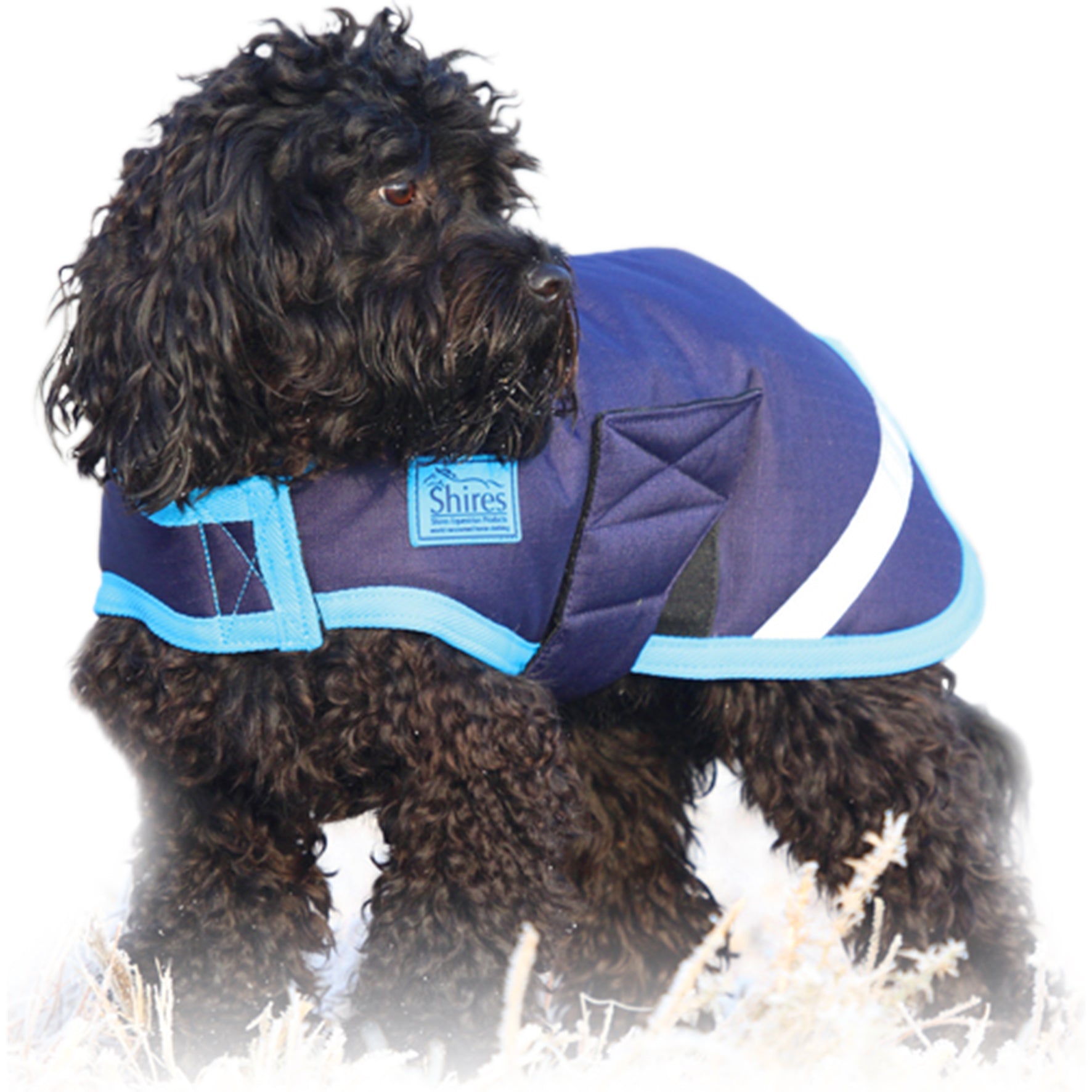 Shires Waterproof Dog Coat (XXXXS Red%