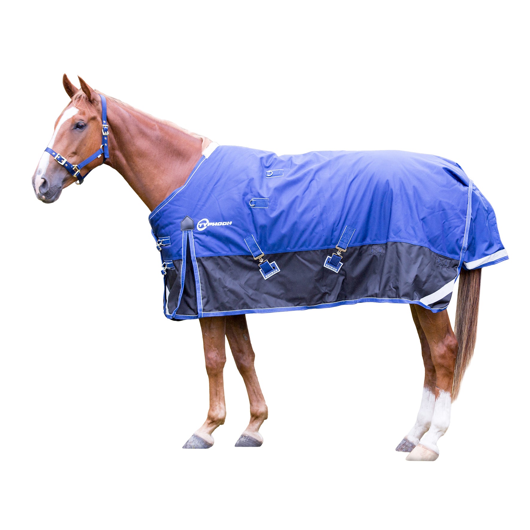 Shires Winter Typhoon Rug Only 300g One / 3.6