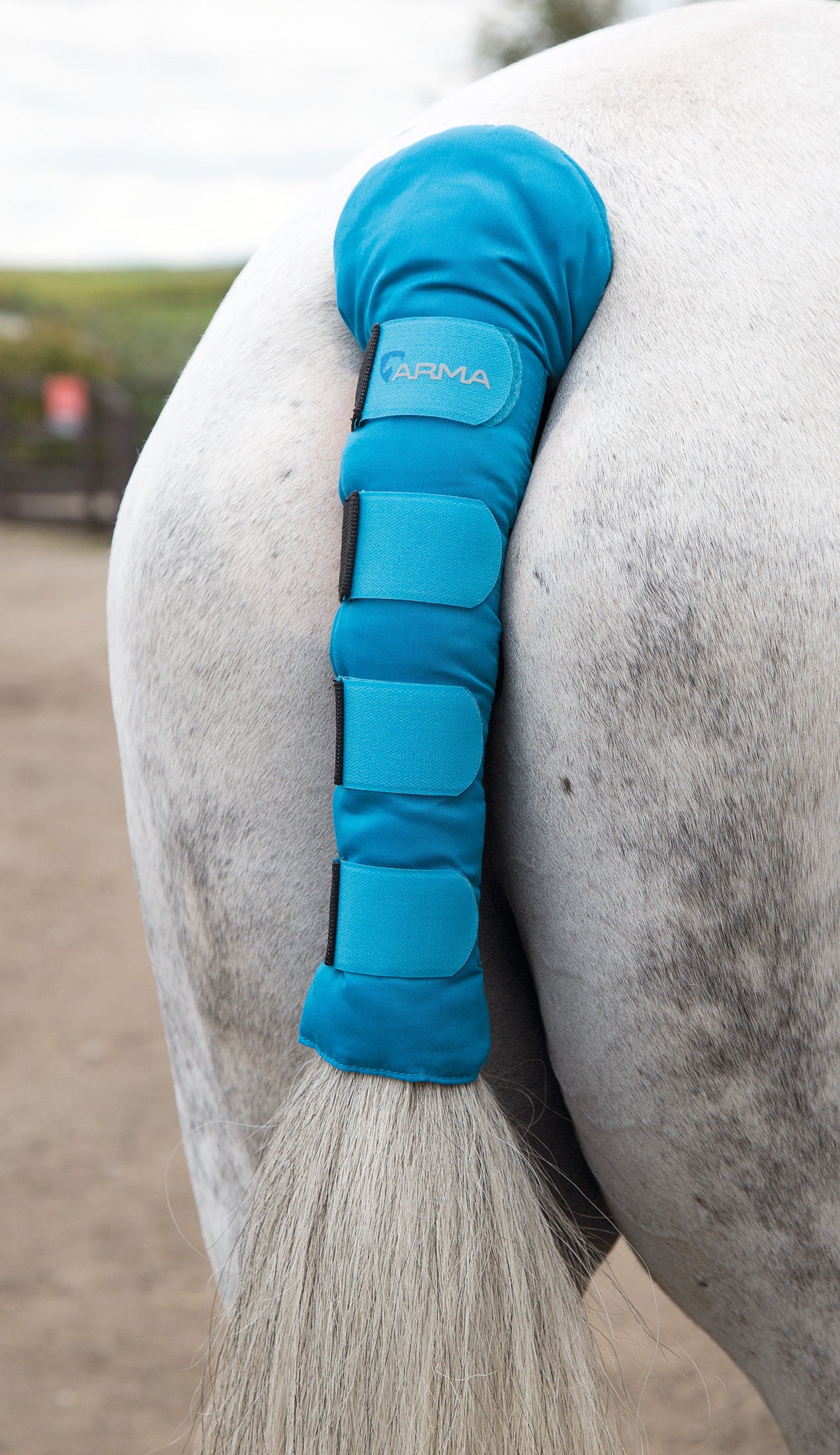 Shires Padded Tail Guard Navy / All