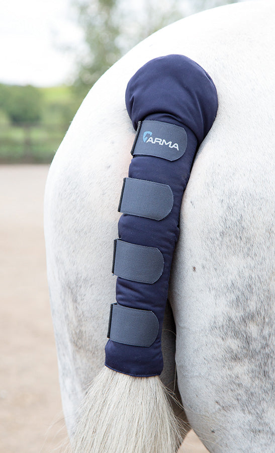 Shires Padded Tail Guard Navy / All