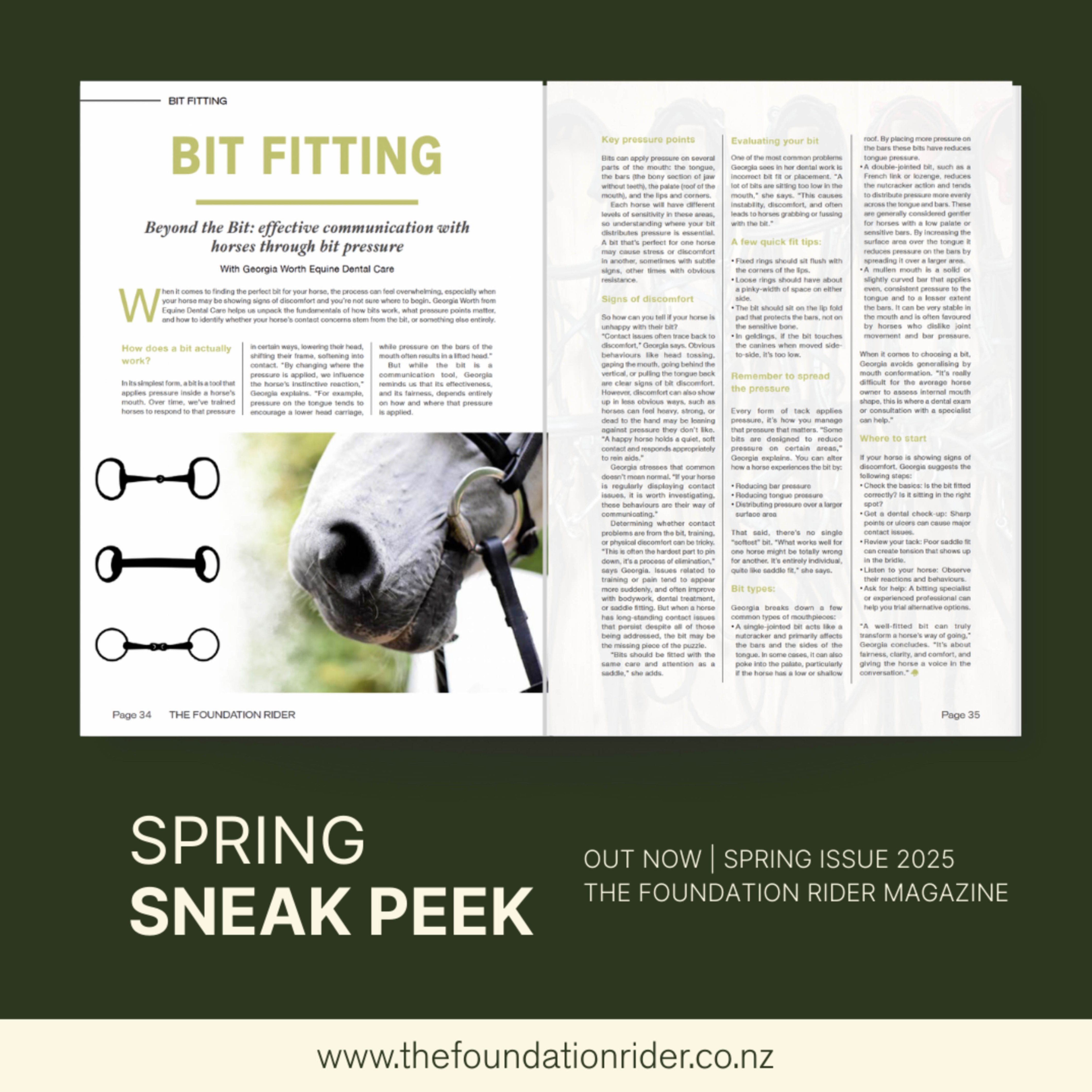 The Foundation Rider Magazine Spring