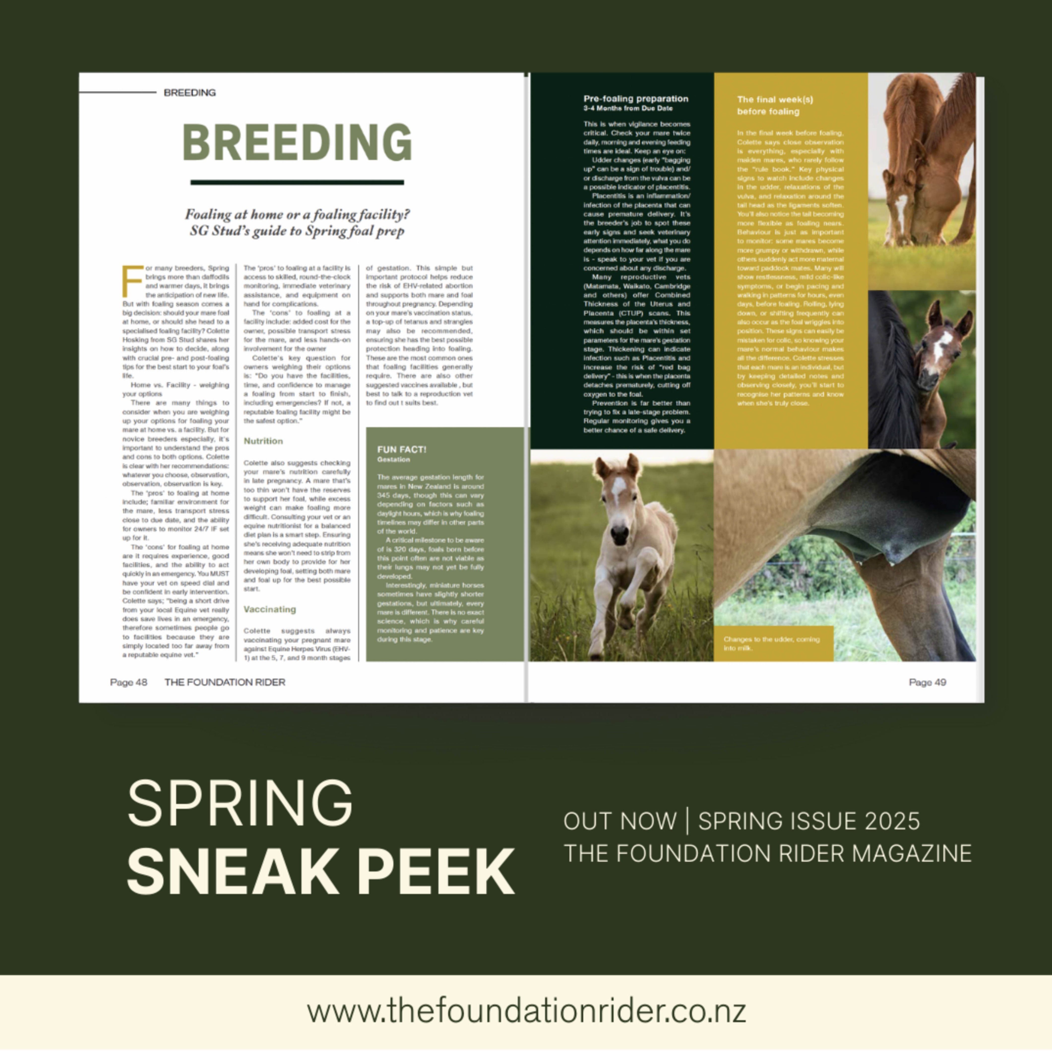 The Foundation Rider Magazine Spring