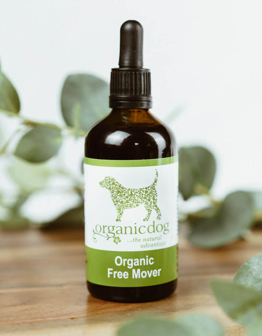 Brookby Dogs Organic Free Mover (50g)